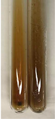 Molecules 28 05572 i721 Molecules 28 05572 i721