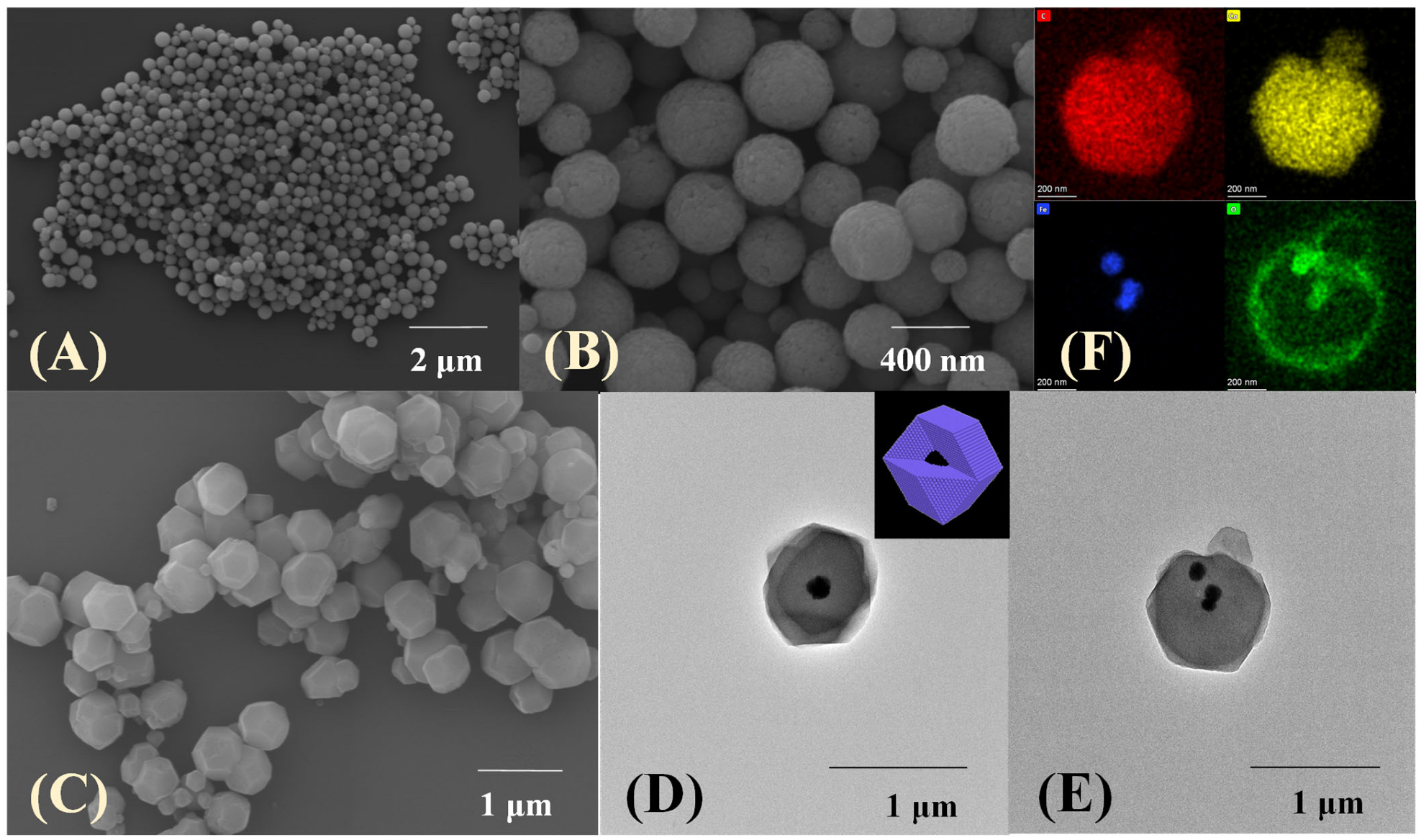 Molecules 28 05573 g002