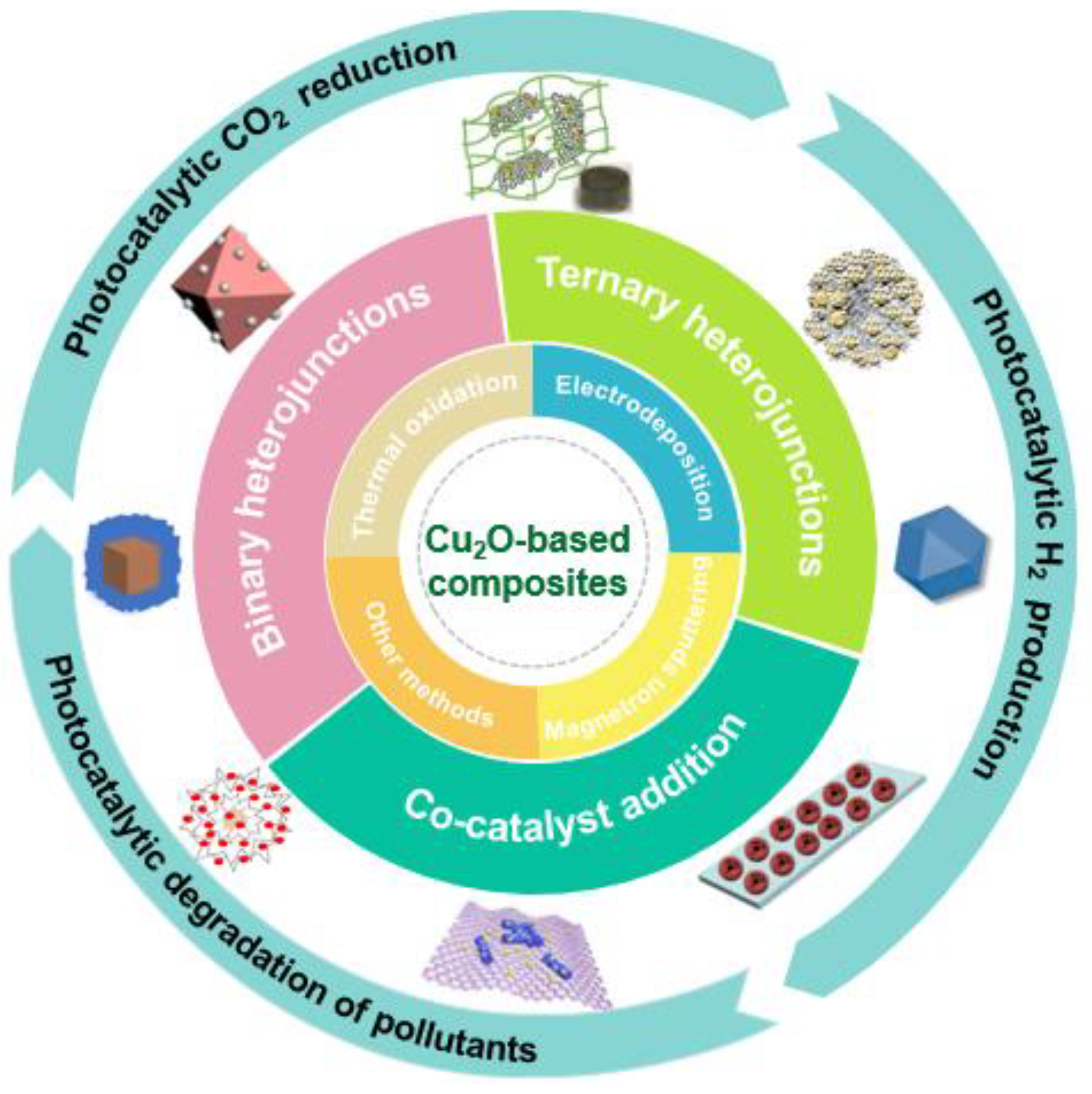 Molecules 28 05576 g002