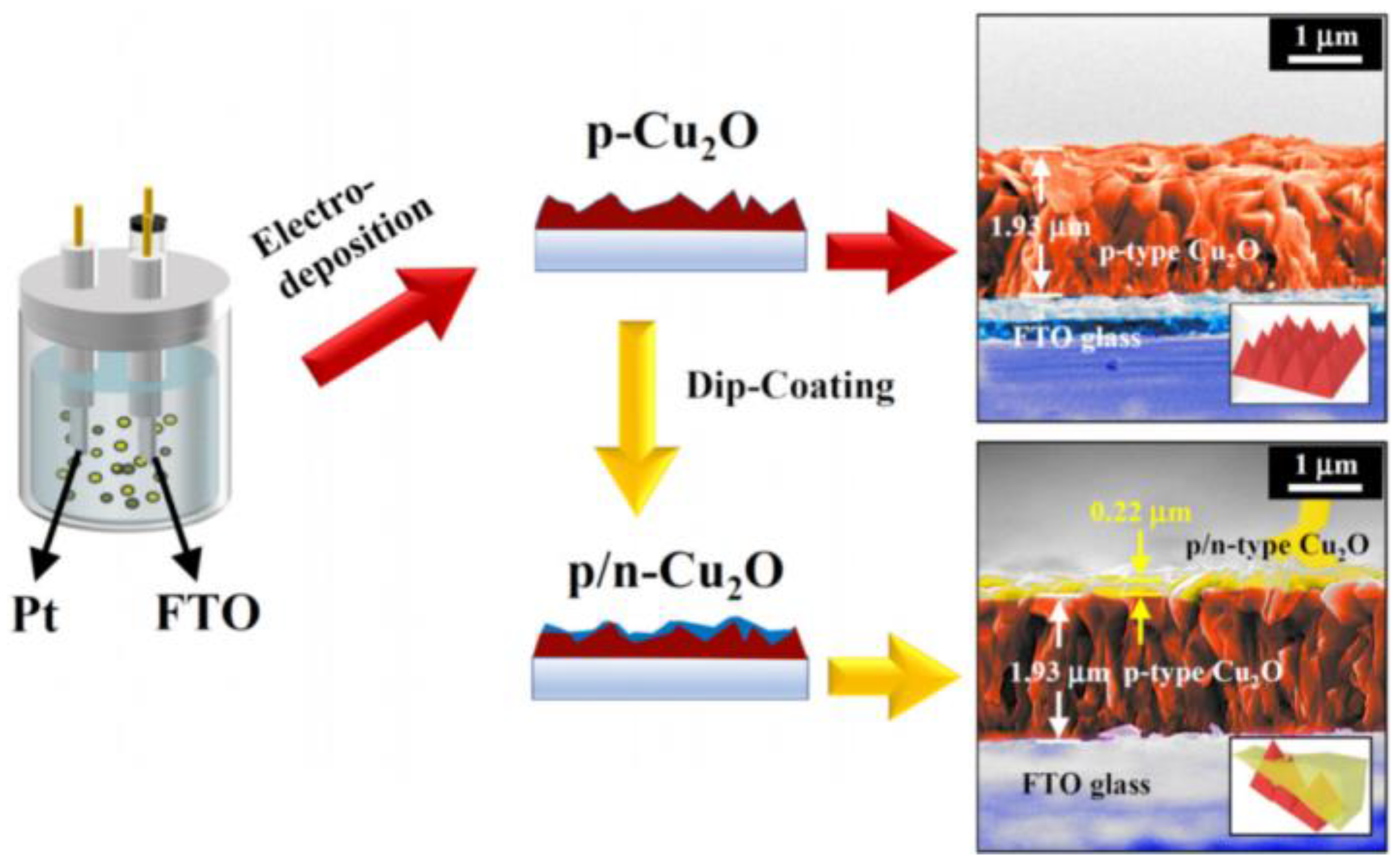 Molecules 28 05576 g003