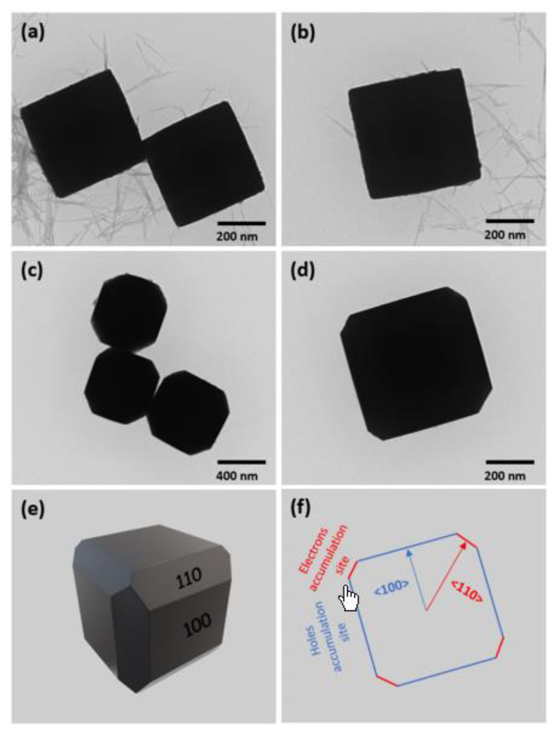 Molecules 28 05576 g008