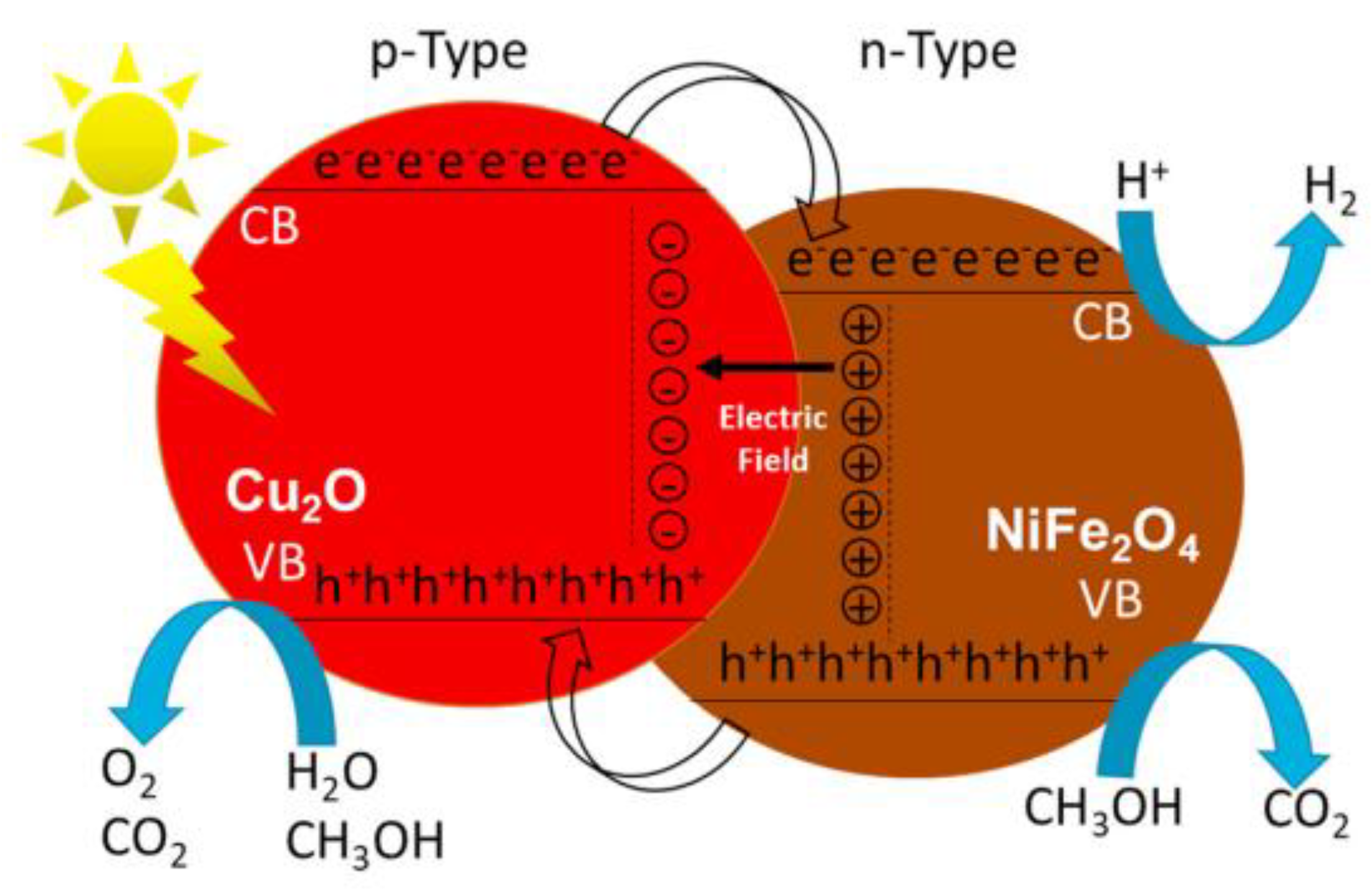 Molecules 28 05576 g009