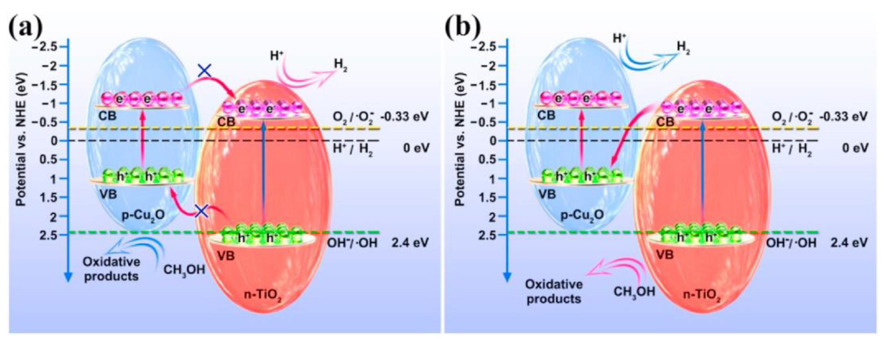 Molecules 28 05576 g010