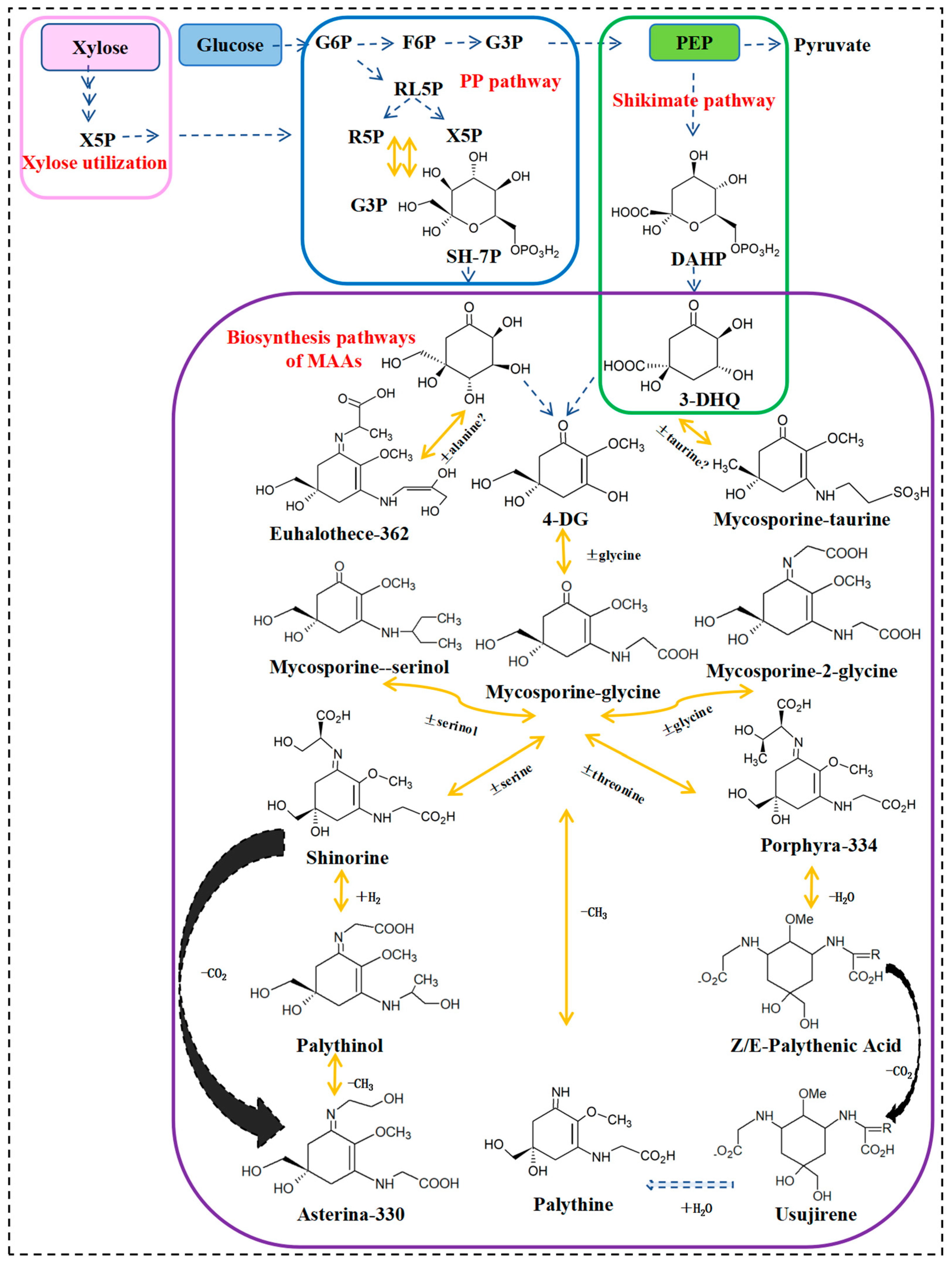 Molecules 28 05588 g003 Molecules 28 05588 g003