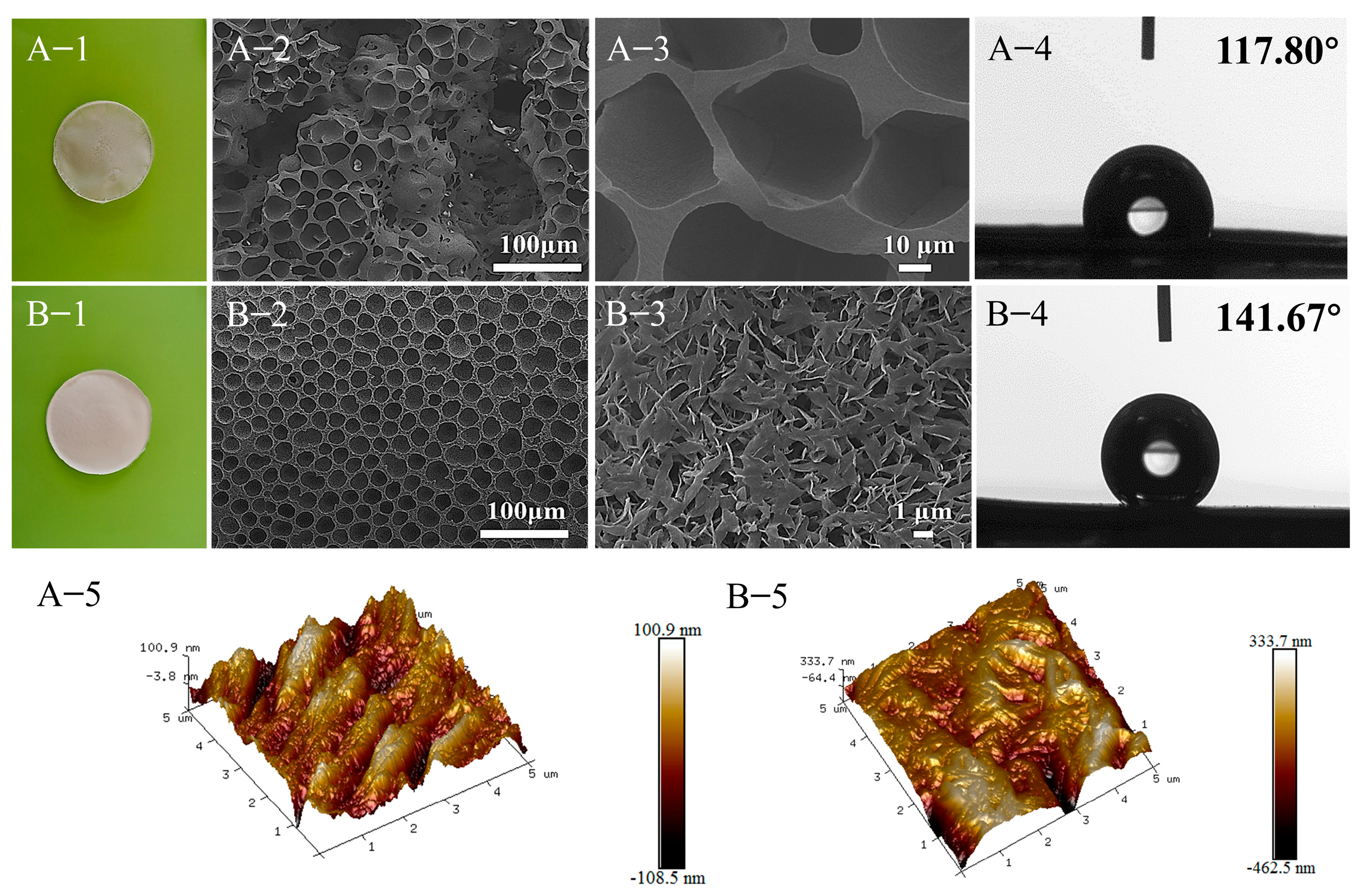 Molecules 28 05590 g002