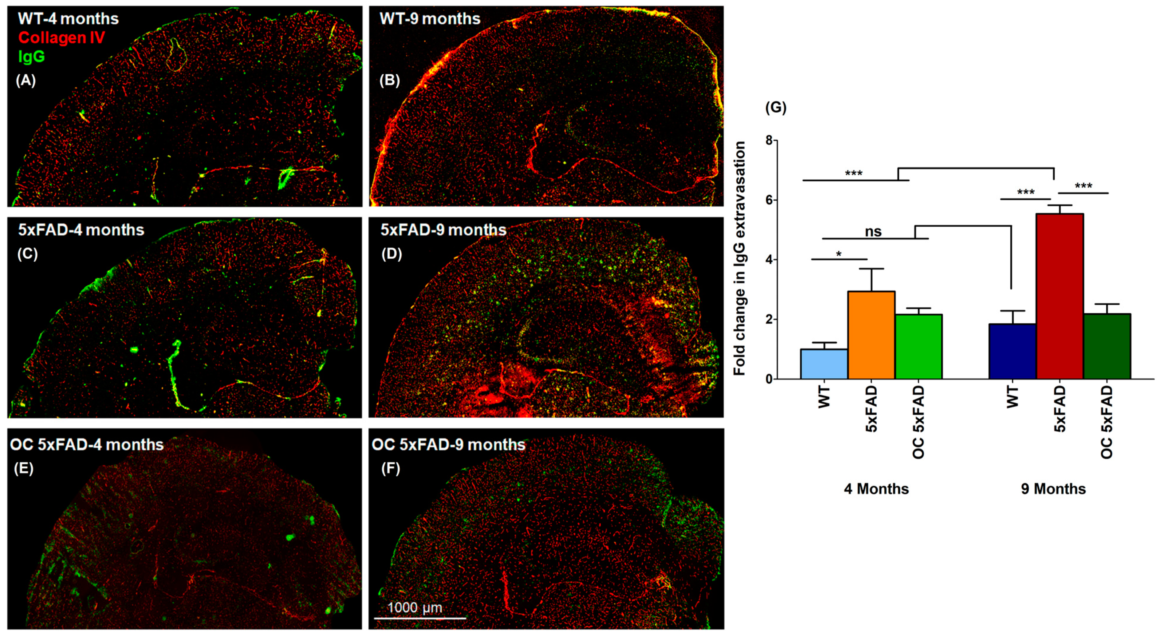 Molecules 28 05592 g002