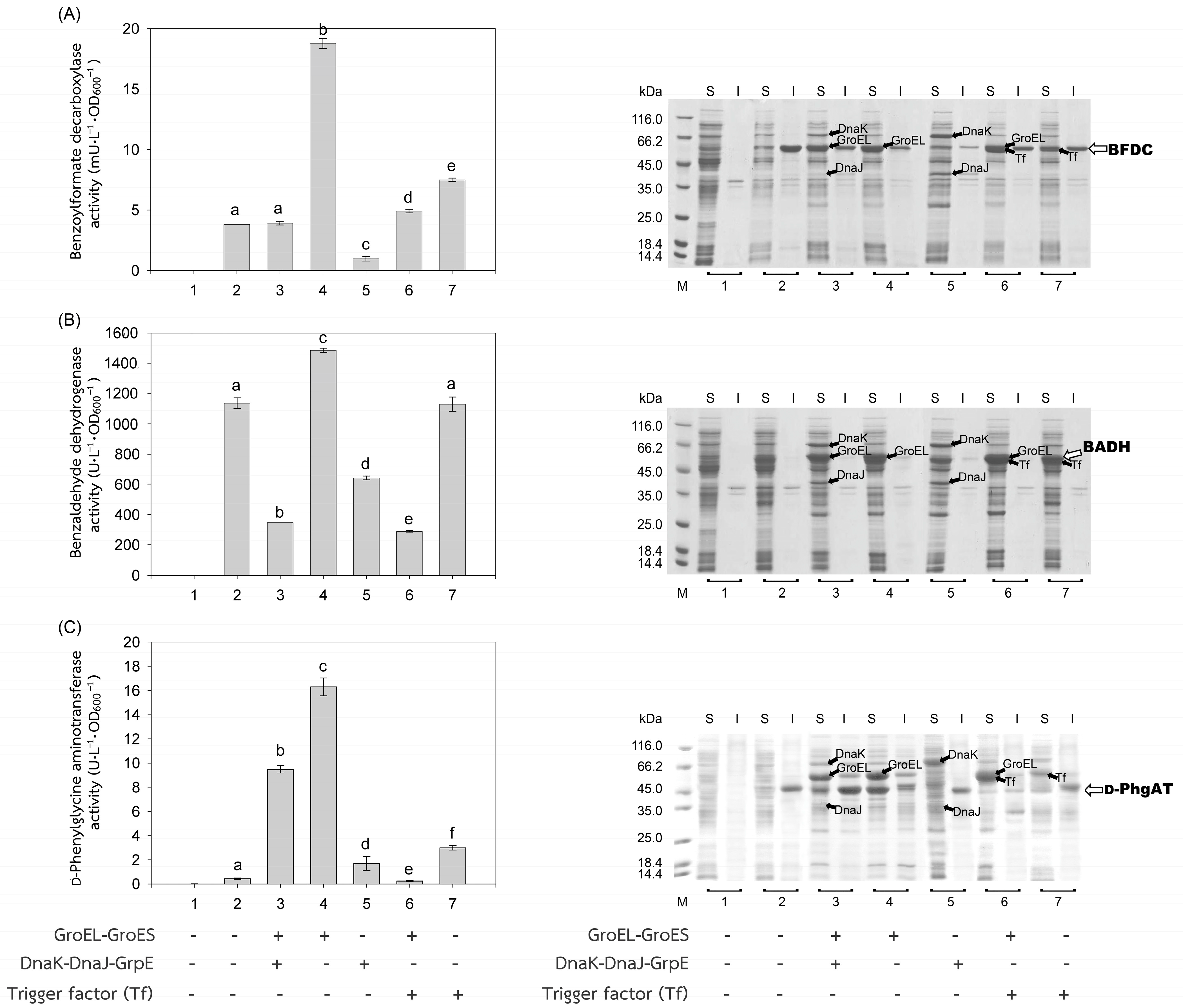 Molecules 28 05594 g003 Molecules 28 05594 g003