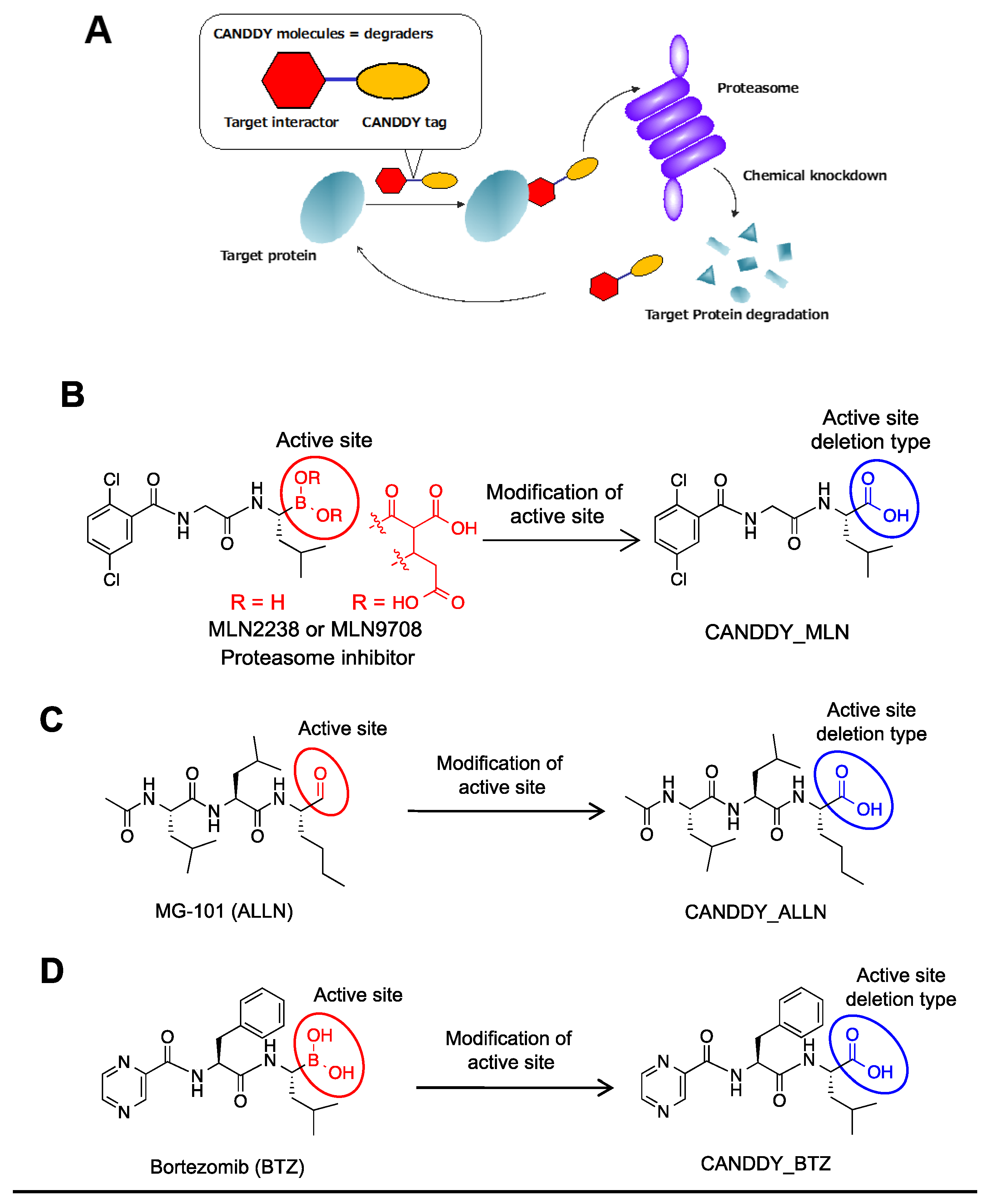 Molecules 28 05600 g001