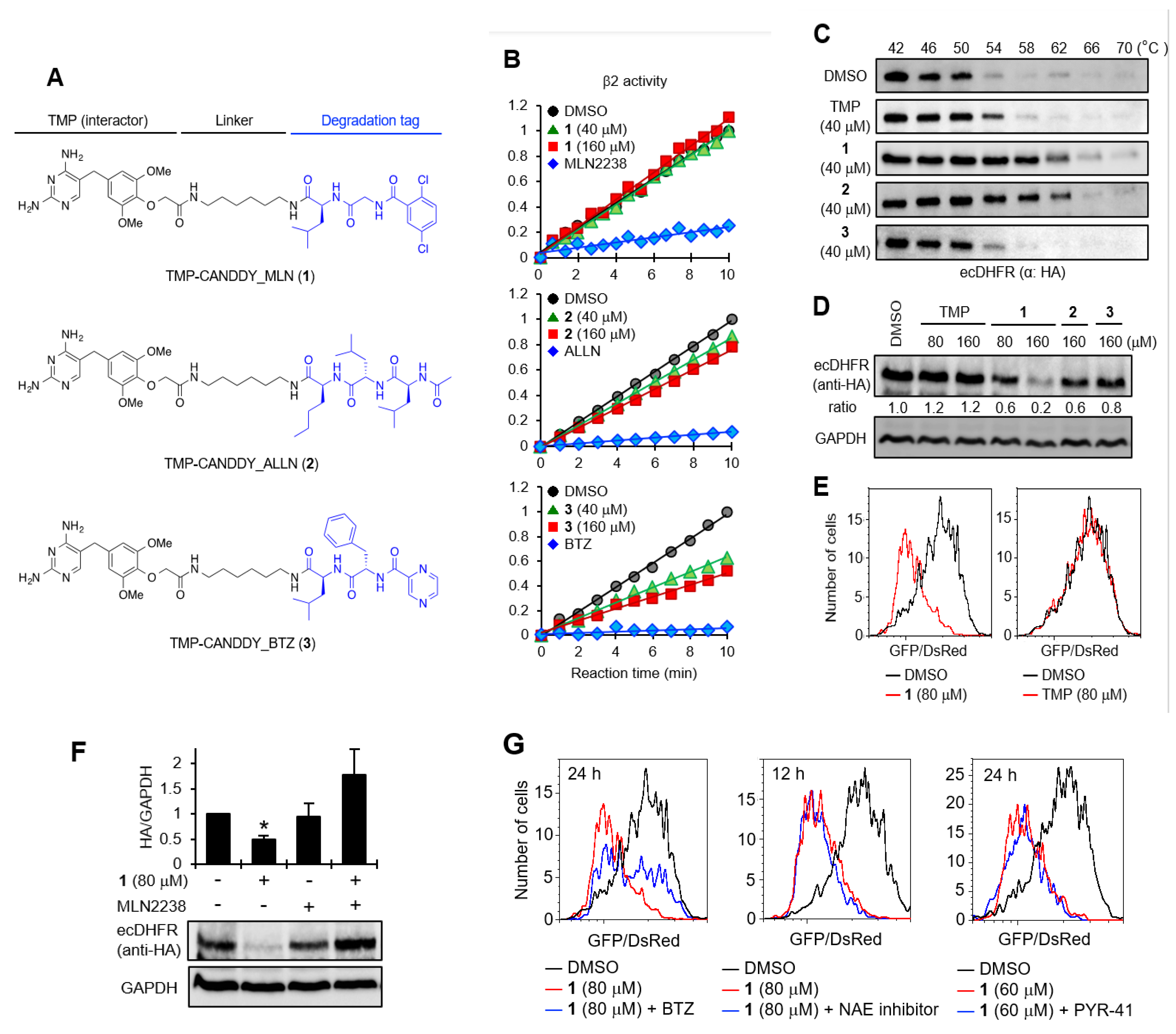 Molecules 28 05600 g002