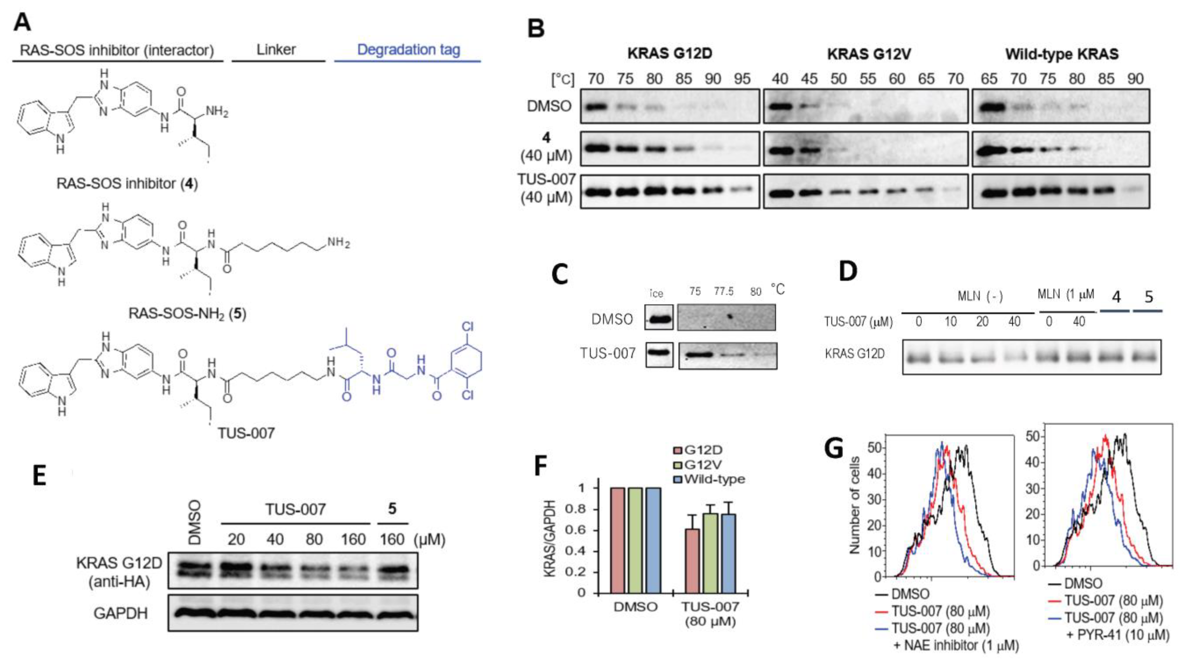 Molecules 28 05600 g003