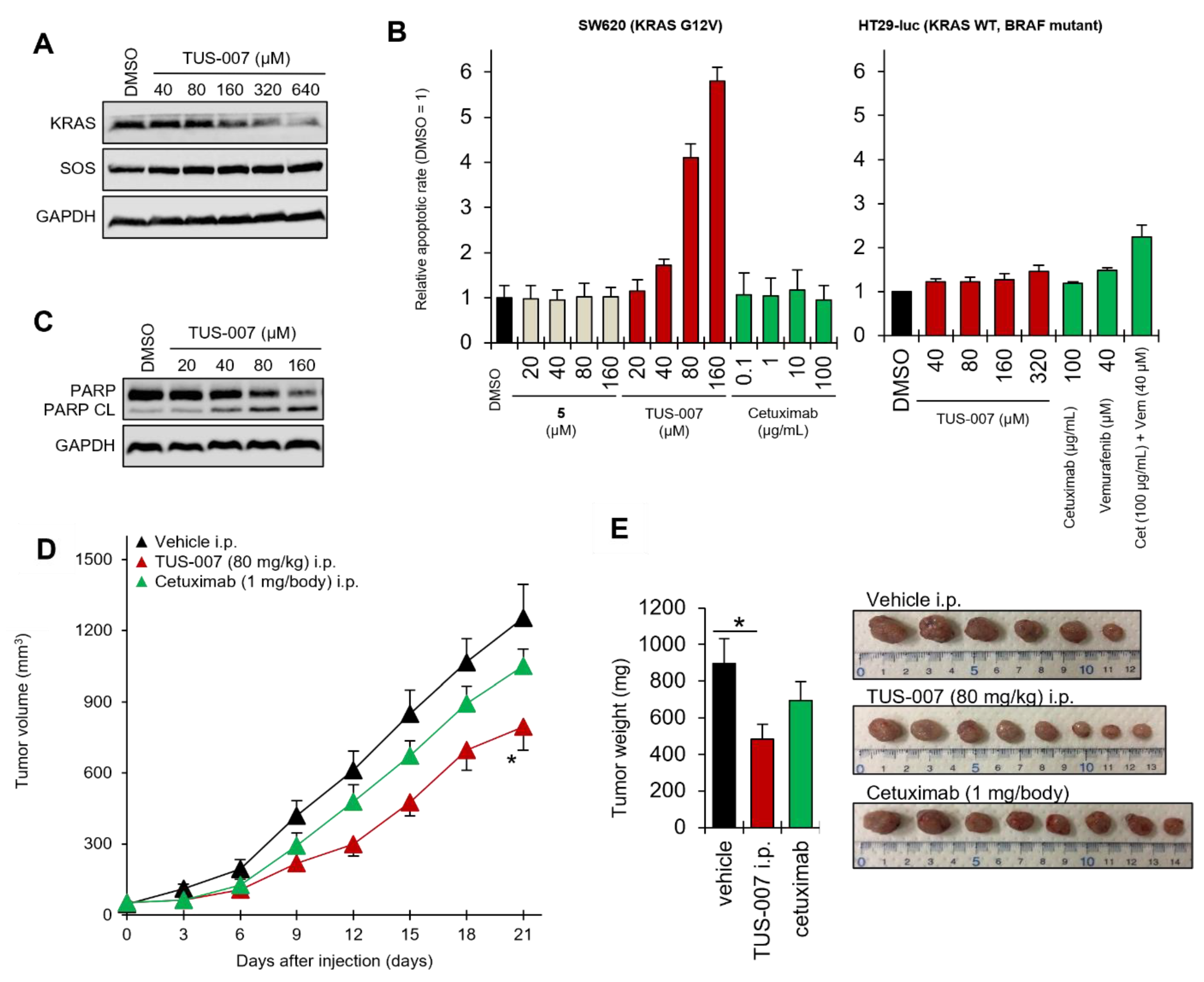Molecules 28 05600 g004