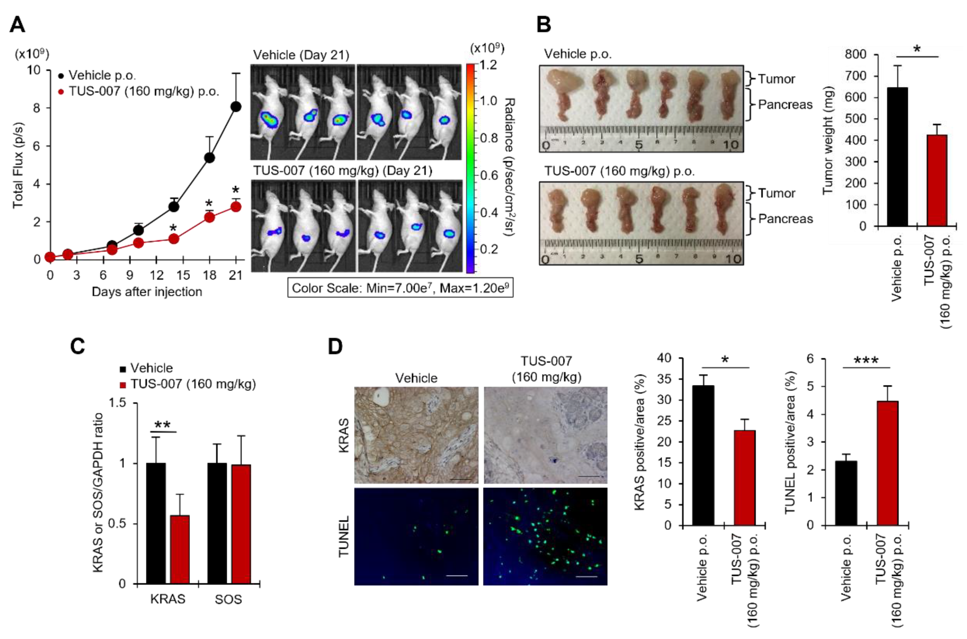 Molecules 28 05600 g006