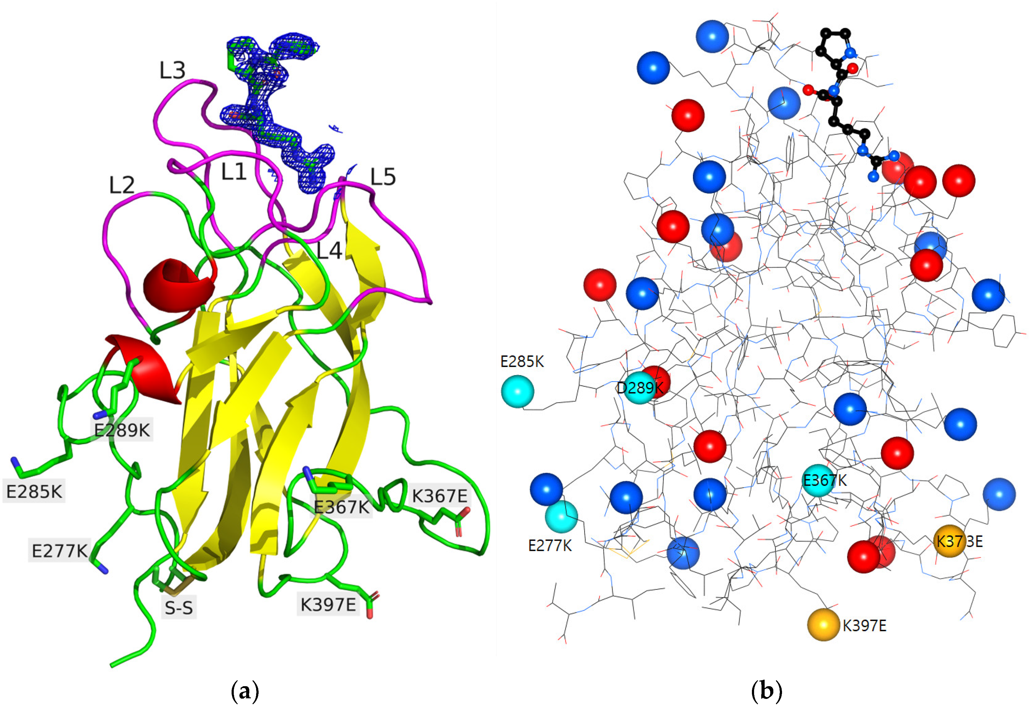 Molecules 28 05603 g001 Molecules 28 05603 g001