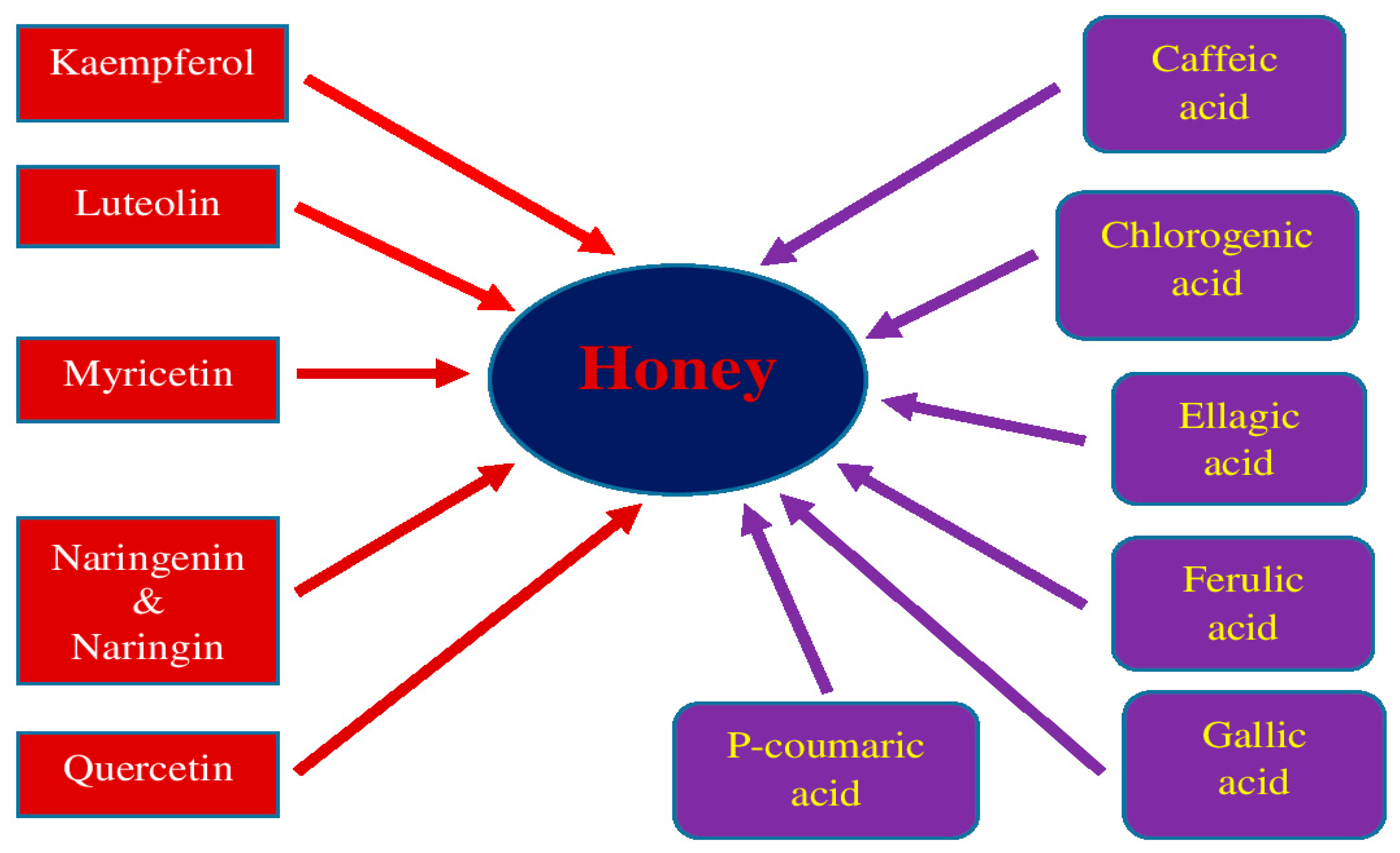 Molecules 28 05624 g001 Molecules 28 05624 g001