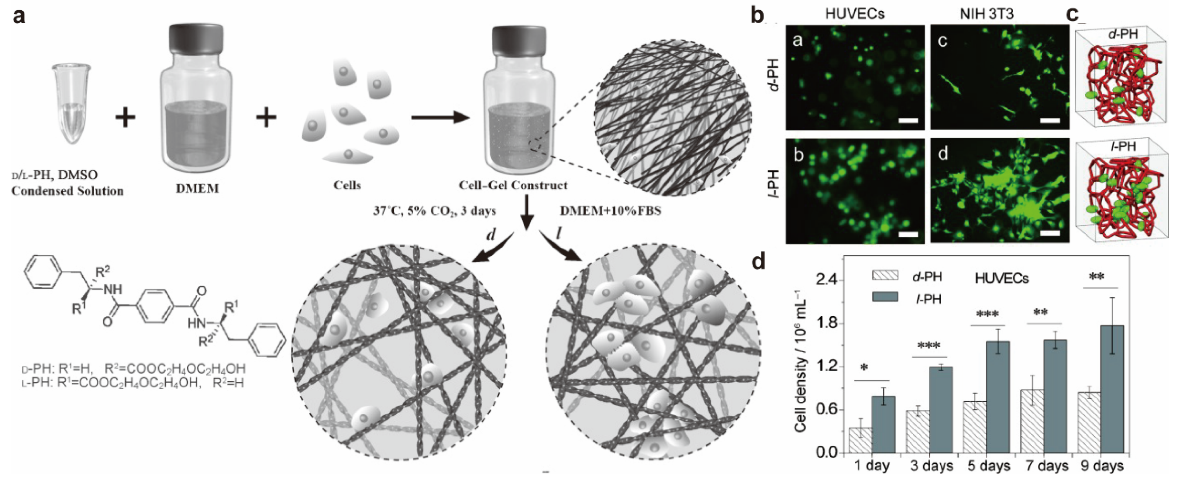 Molecules 28 05629 g004