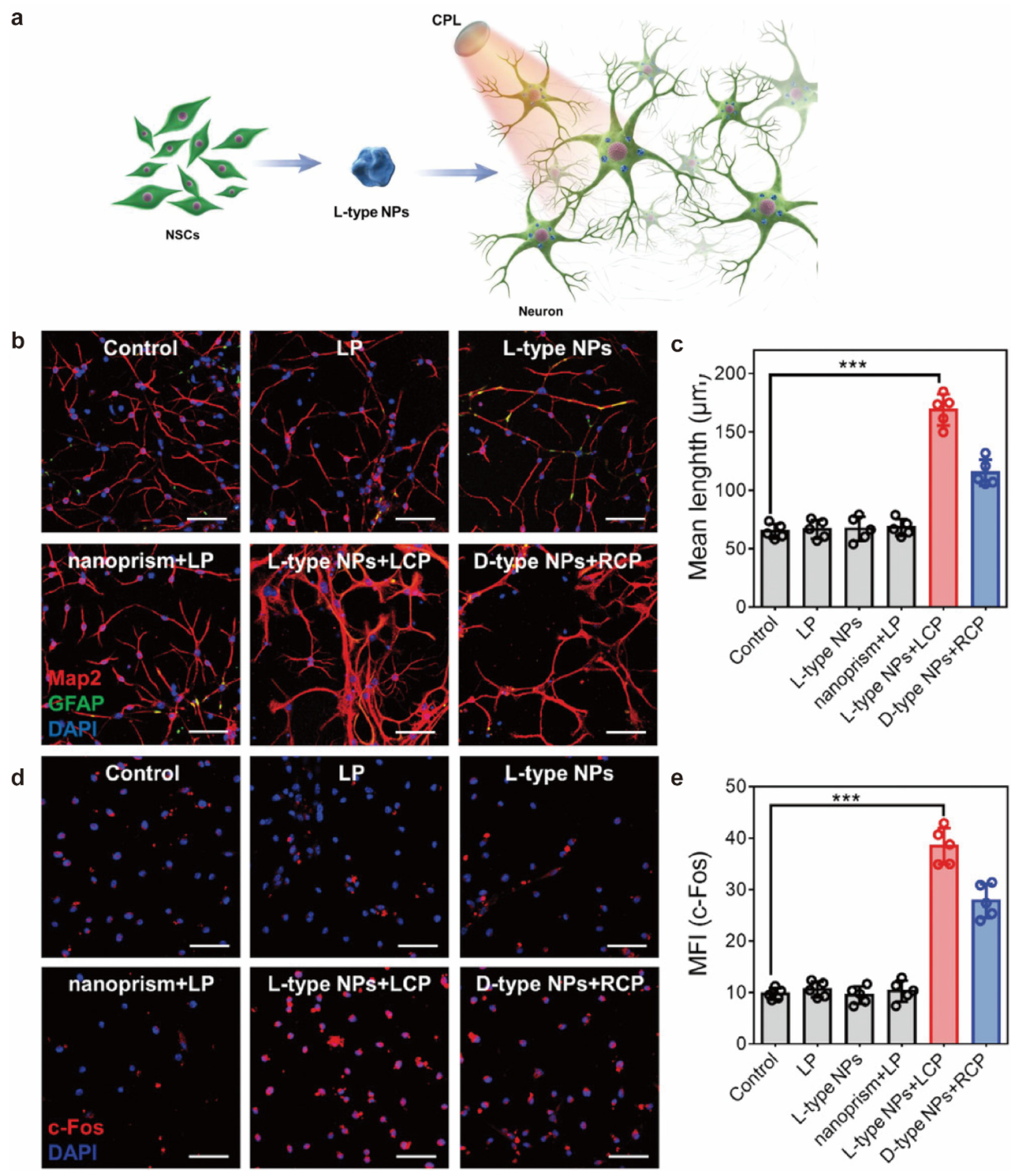 Molecules 28 05629 g005