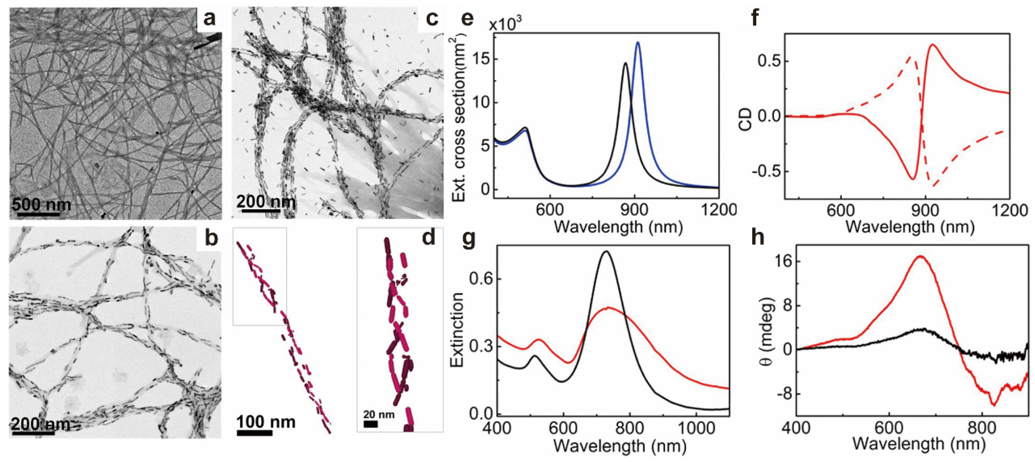 Molecules 28 05629 g010
