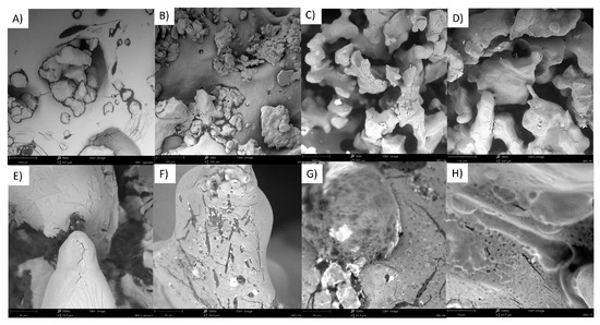 Molecules 28 05636 g0a10