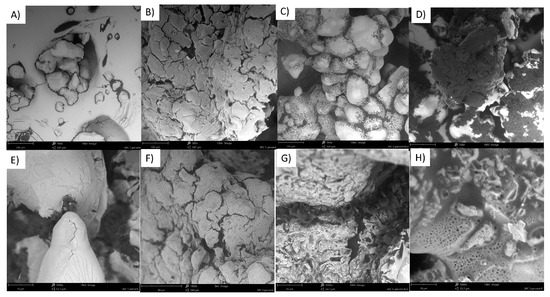 Molecules 28 05636 g0a11