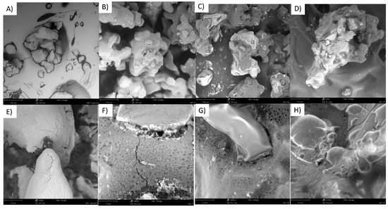 Molecules 28 05636 g0a12