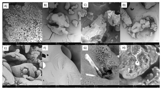 Molecules 28 05636 g0a3