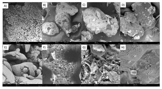 Molecules 28 05636 g0a4