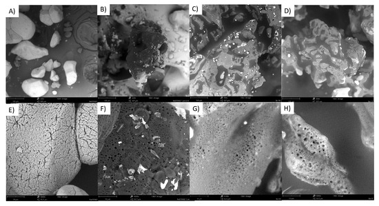 Molecules 28 05636 g0a5