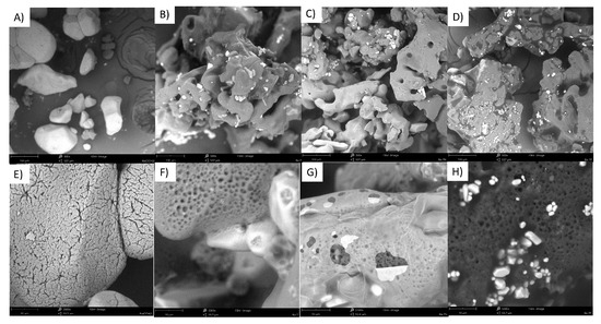 Molecules 28 05636 g0a6