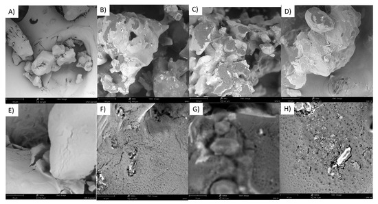 Molecules 28 05636 g0a7