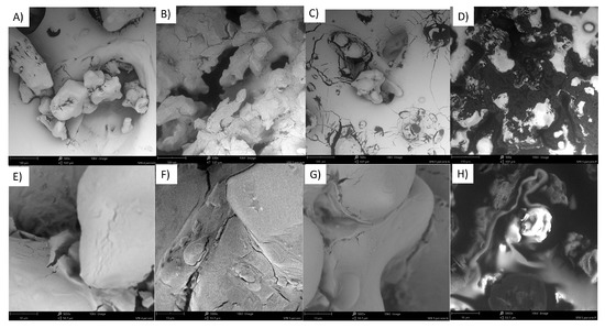 Molecules 28 05636 g0a8