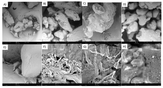 Molecules 28 05636 g0a9