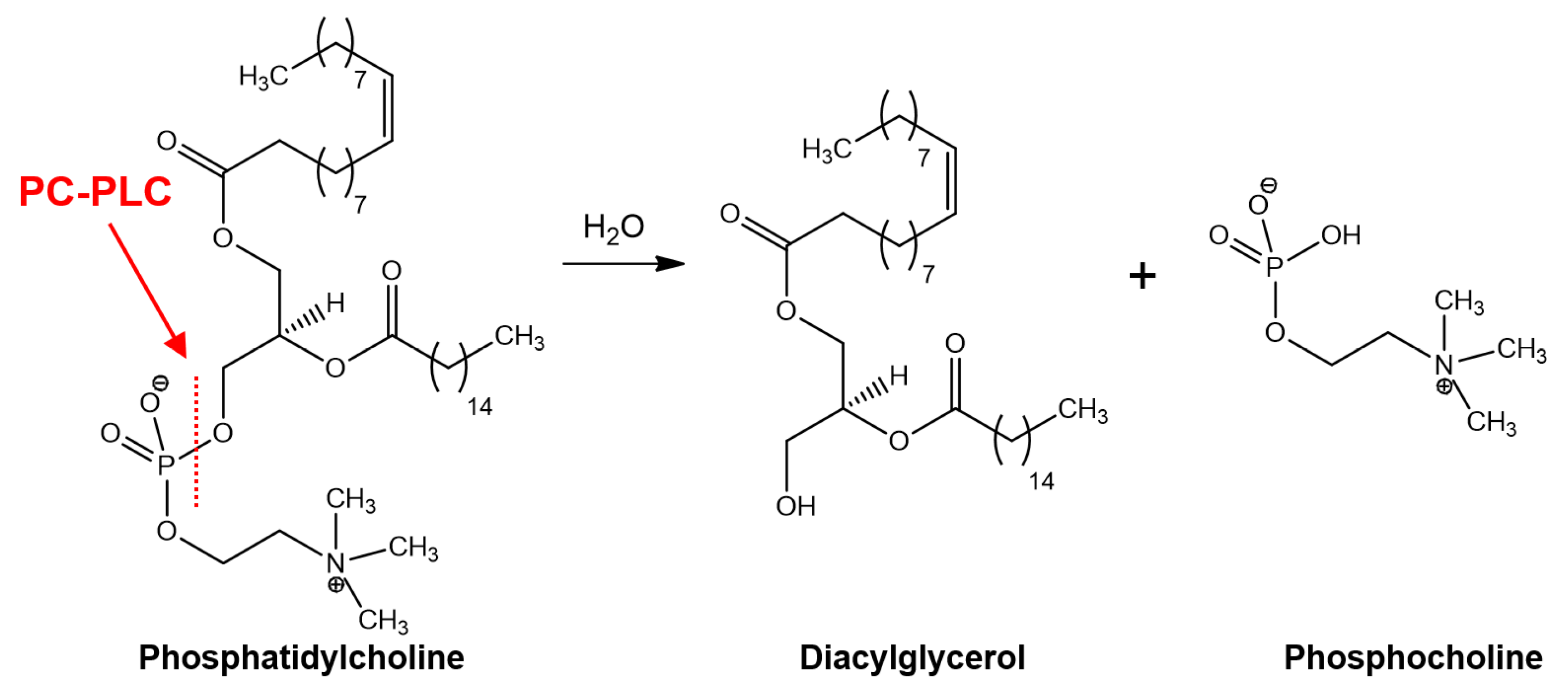 Molecules 28 05637 g001