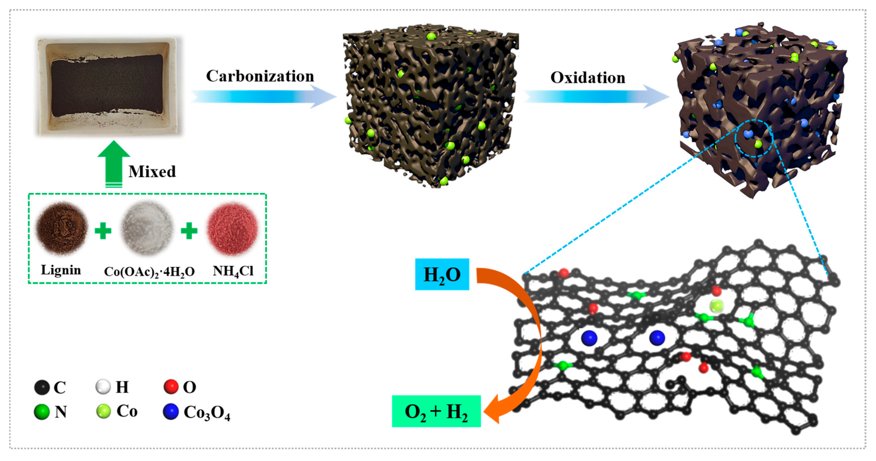 Molecules 28 05648 g001