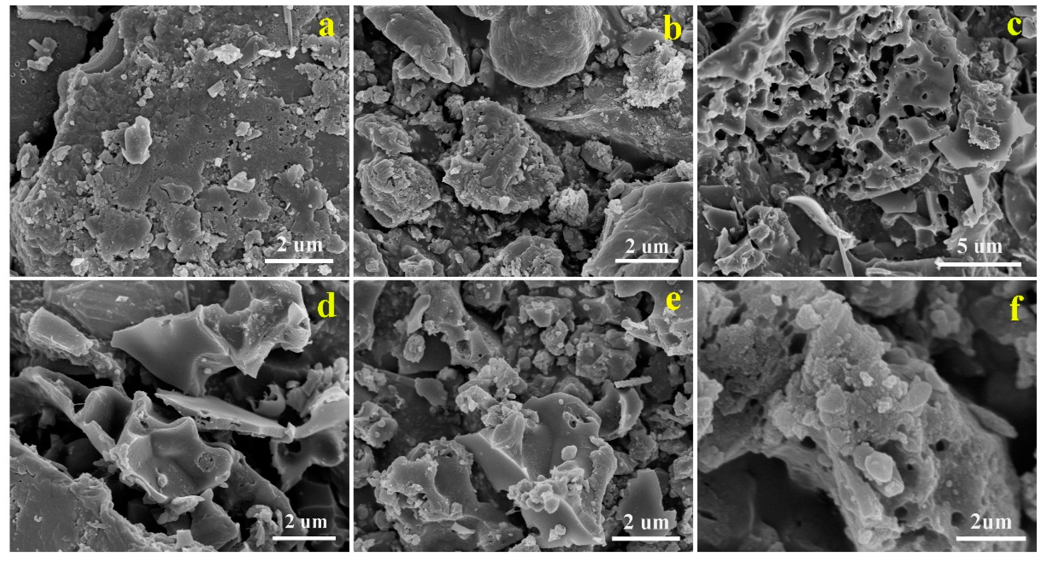Molecules 28 05648 g003