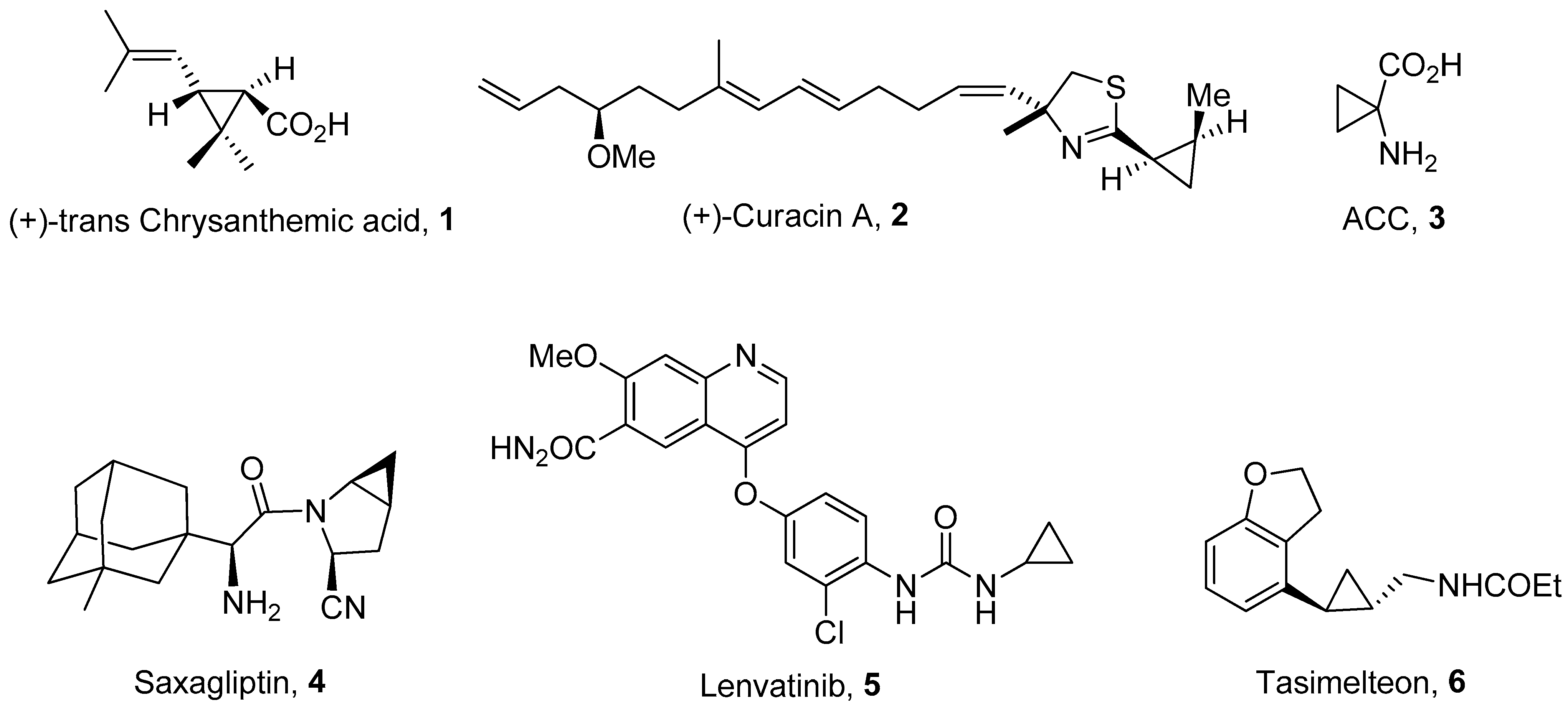 Molecules 28 05651 g003