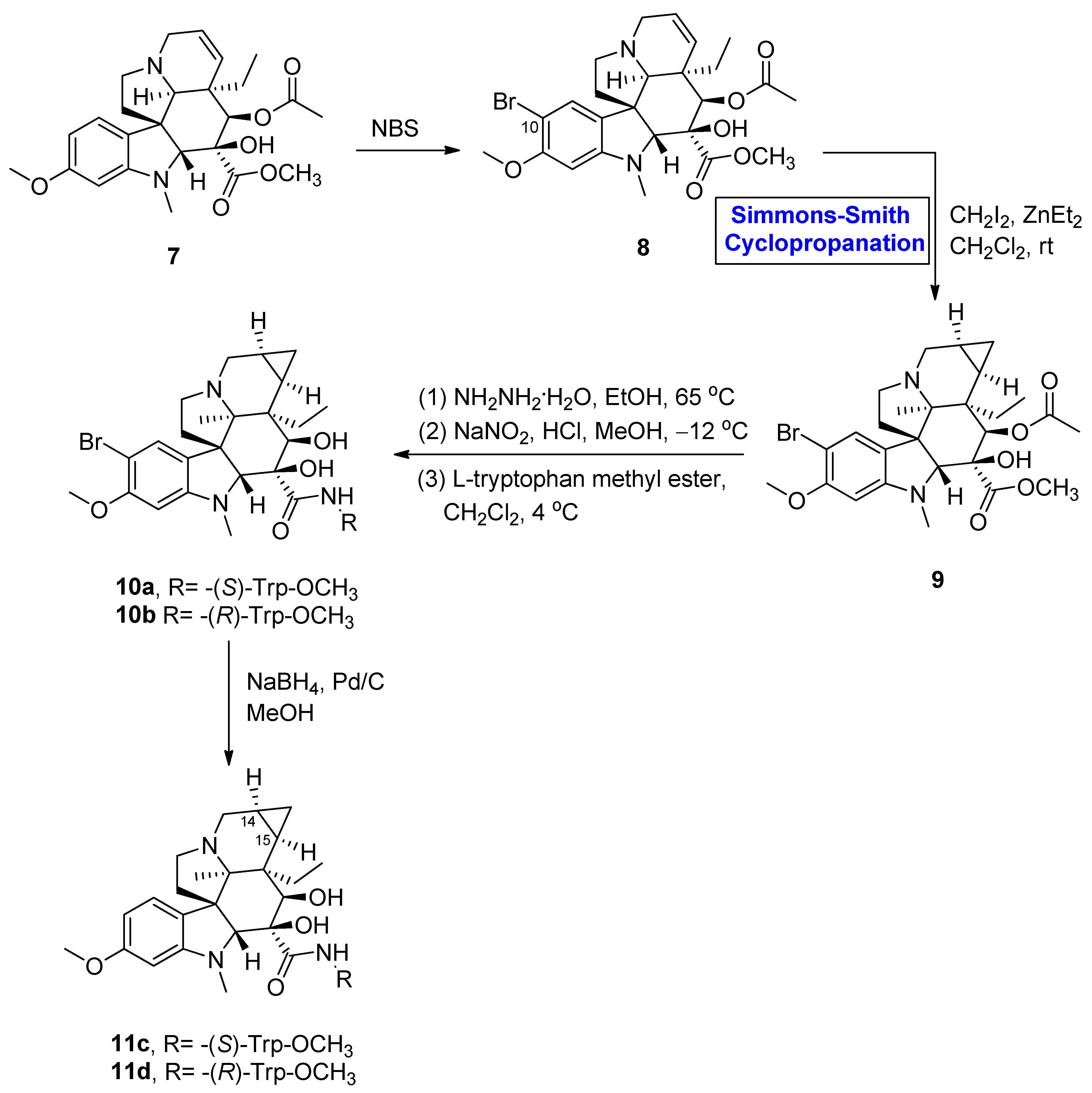 Molecules 28 05651 sch001