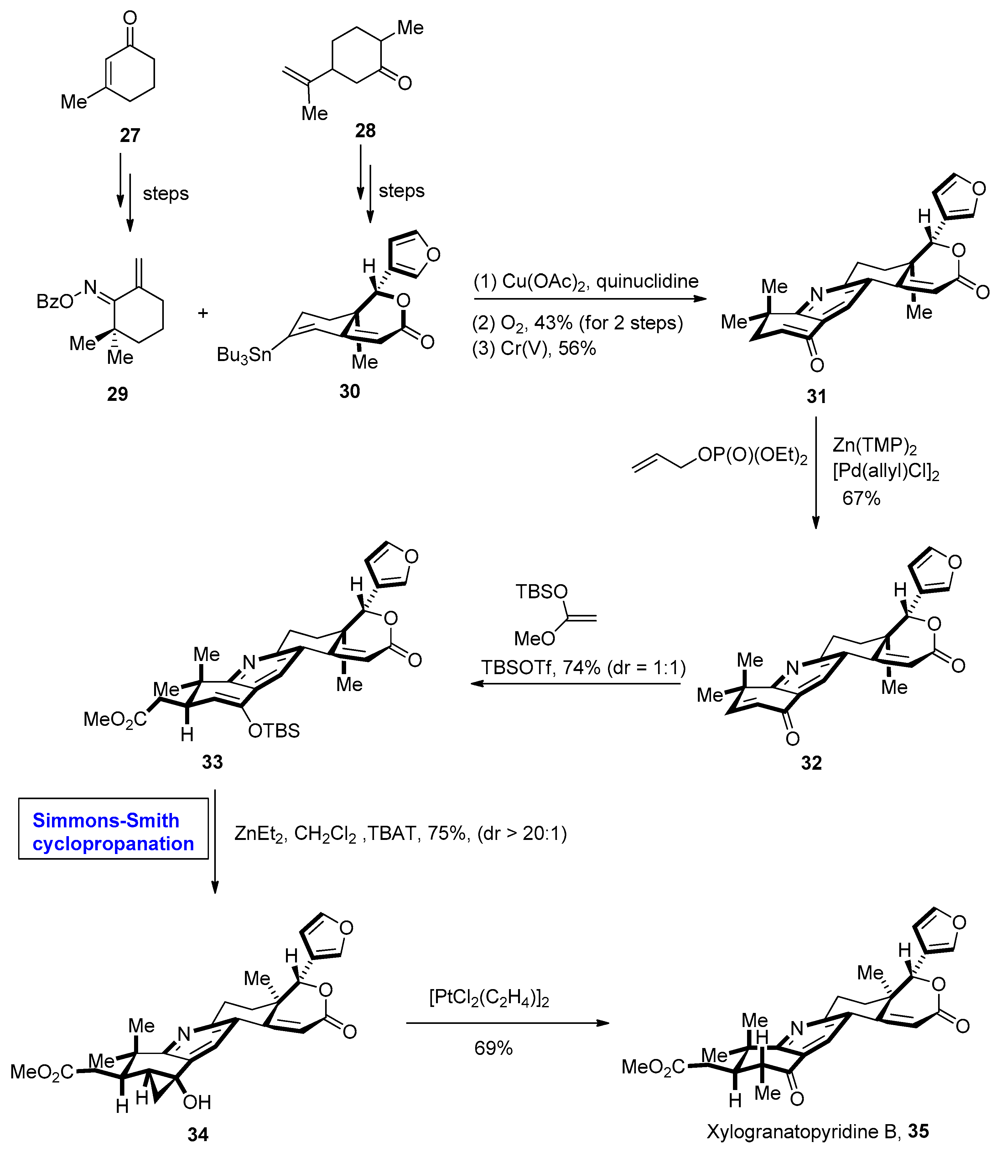 Molecules 28 05651 sch005