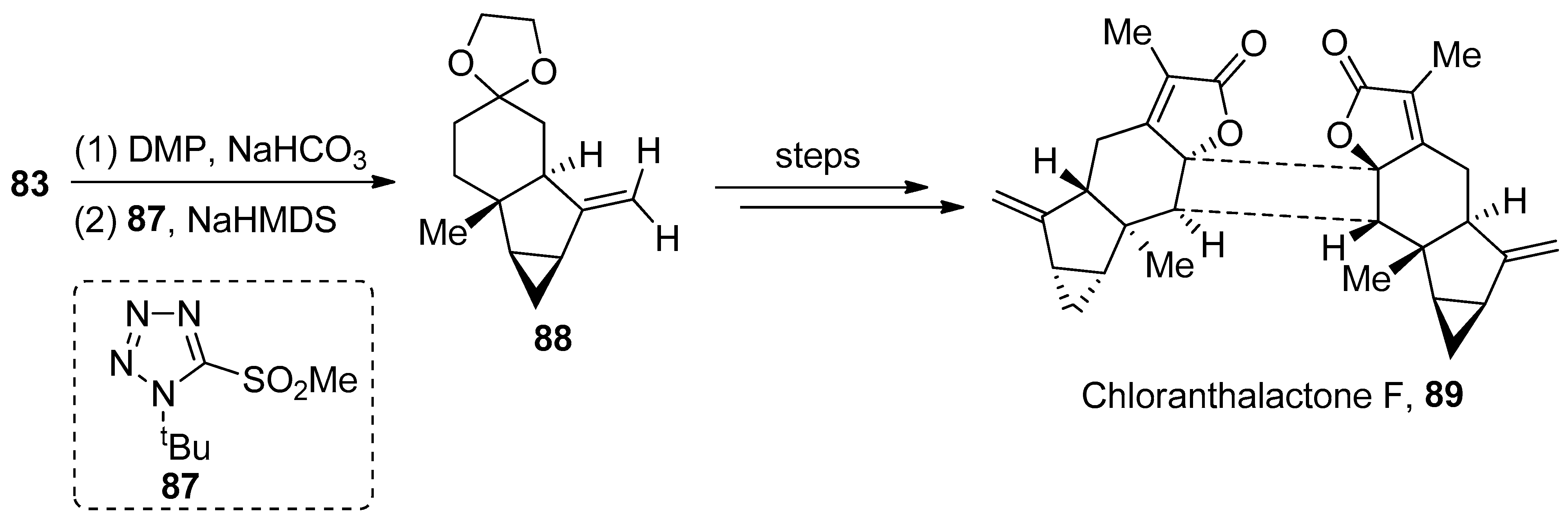 Molecules 28 05651 sch014