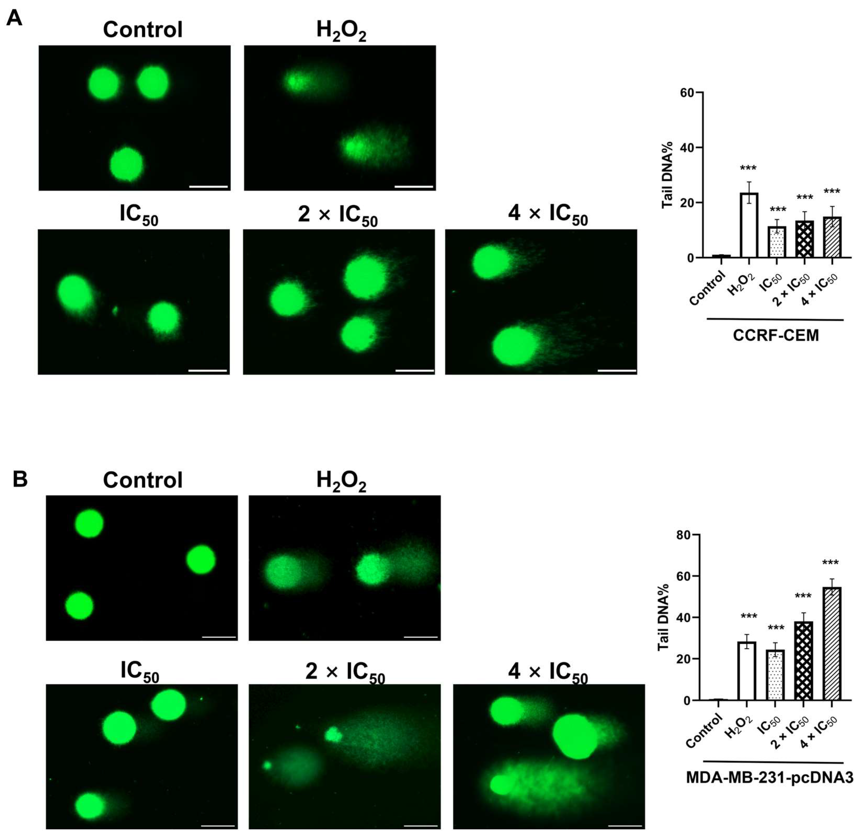 Molecules 28 05658 g007 Molecules 28 05658 g007