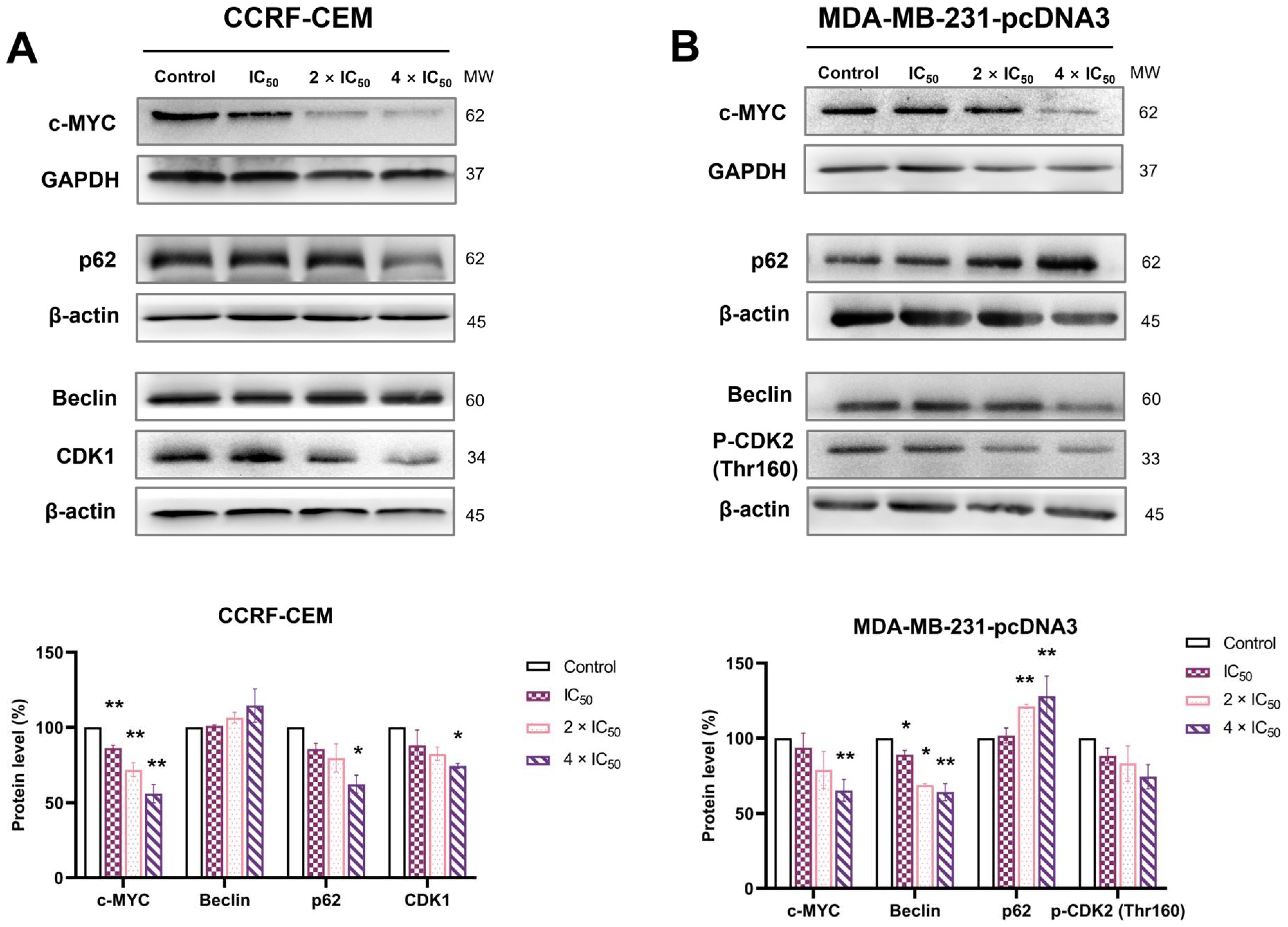 Molecules 28 05658 g010 Molecules 28 05658 g010