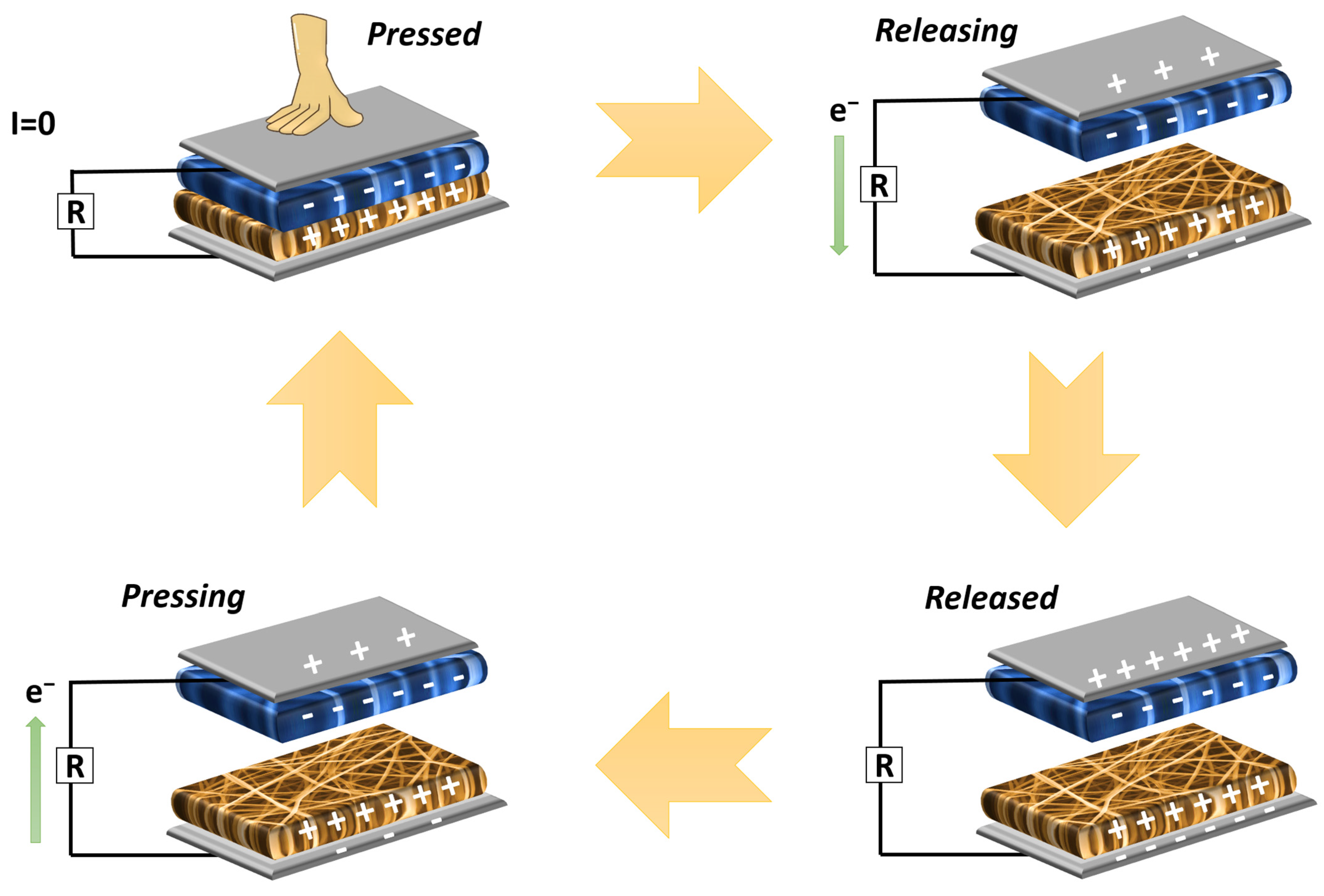 Molecules 28 05662 g011