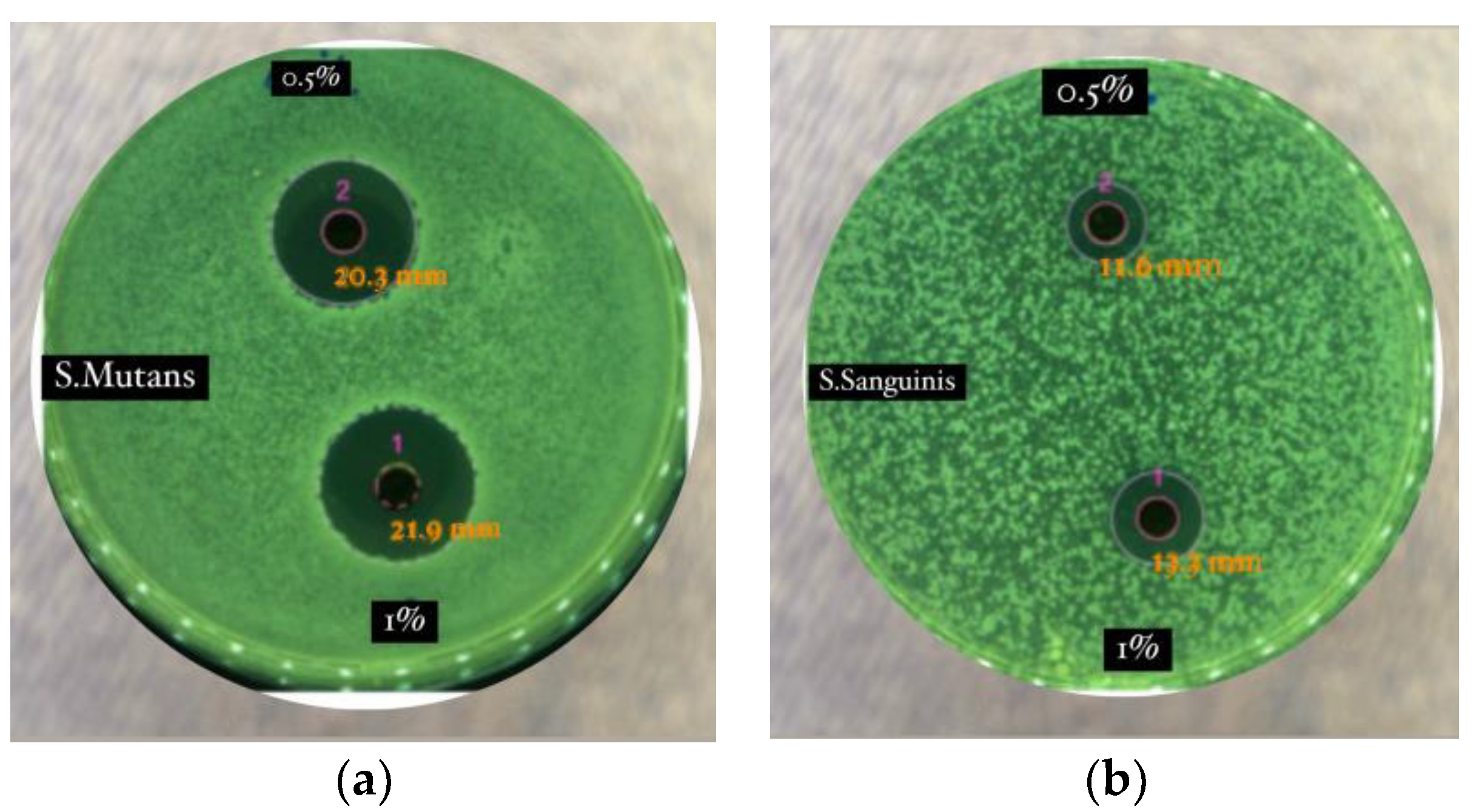 Molecules 28 05666 g003