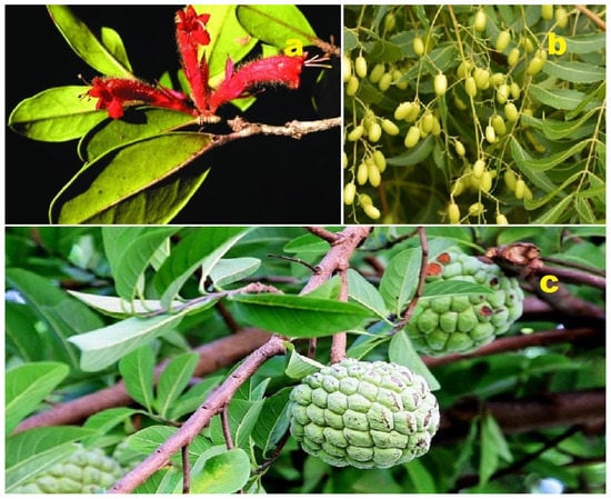 Molecules 28 05669 g014