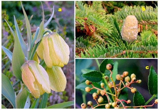 Molecules 28 05669 g021