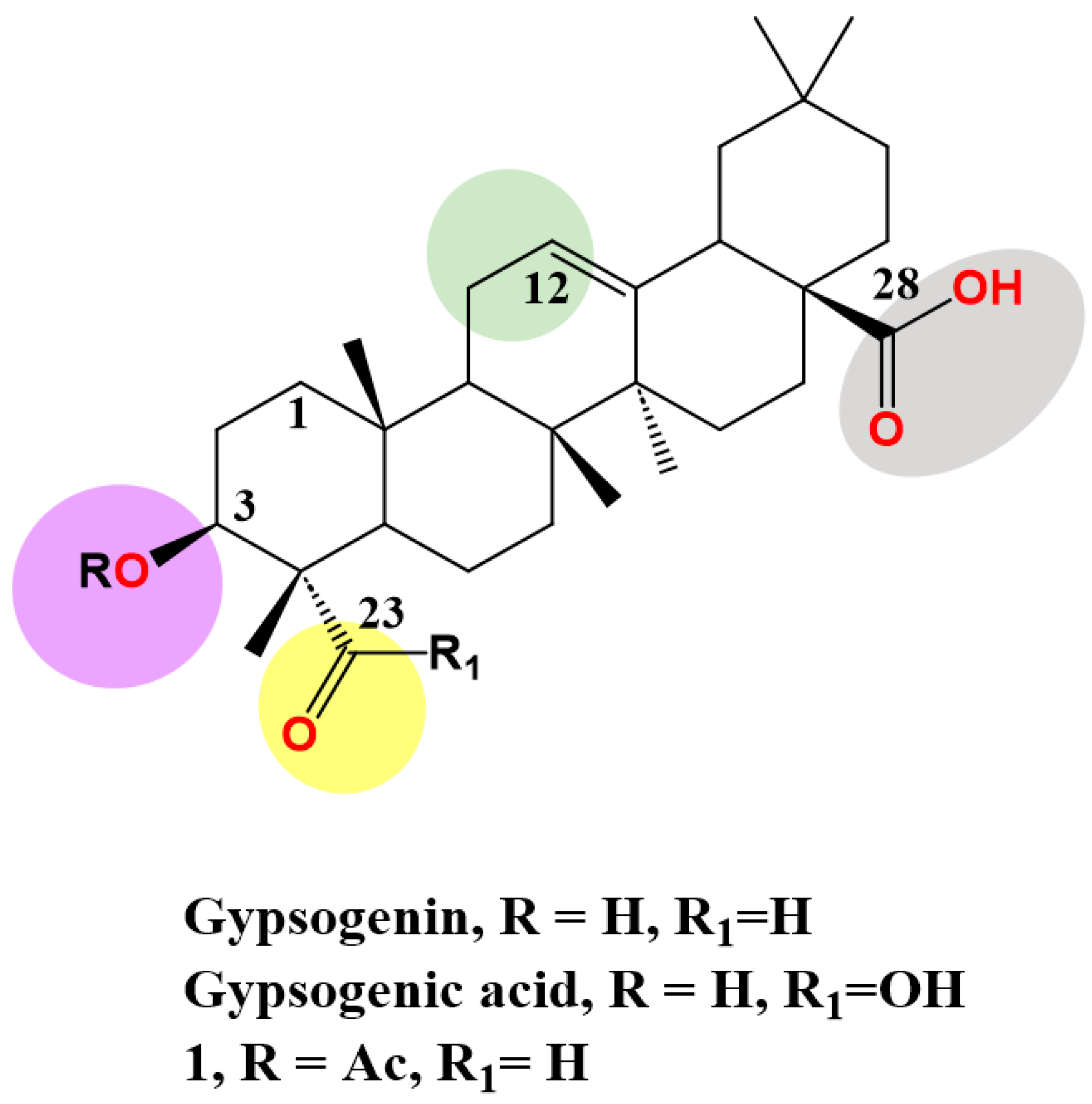 Molecules 28 05677 g002 Molecules 28 05677 g002