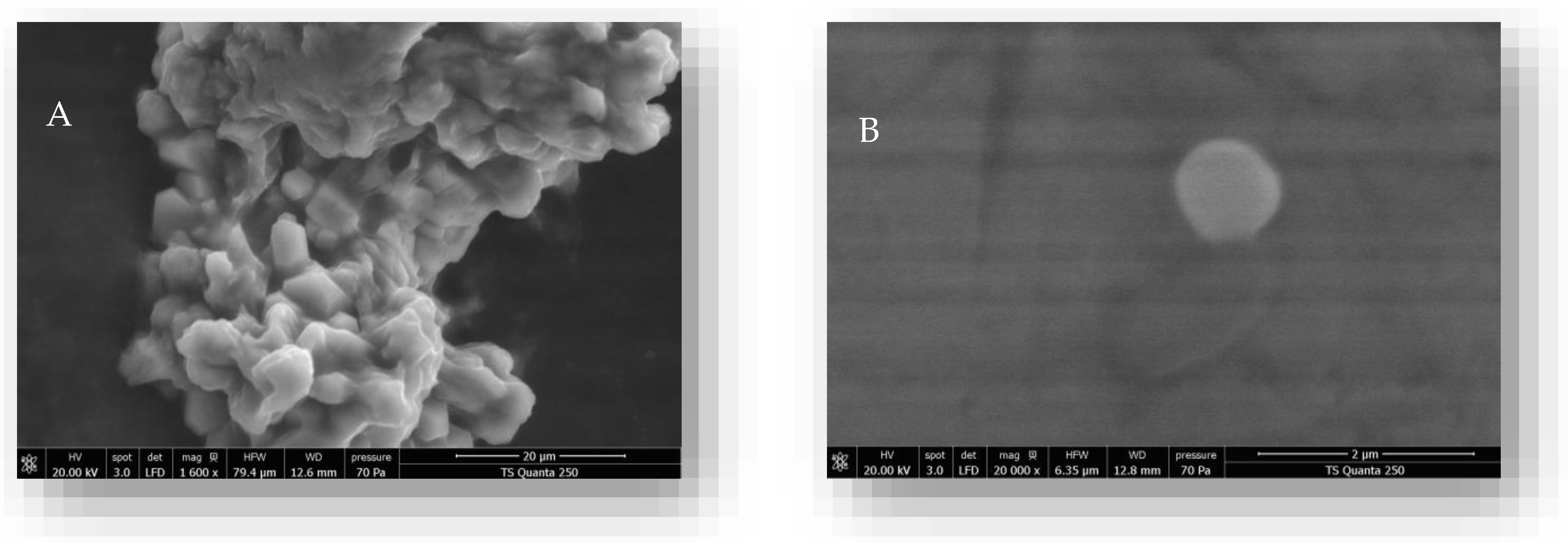 Molecules 28 05681 g002