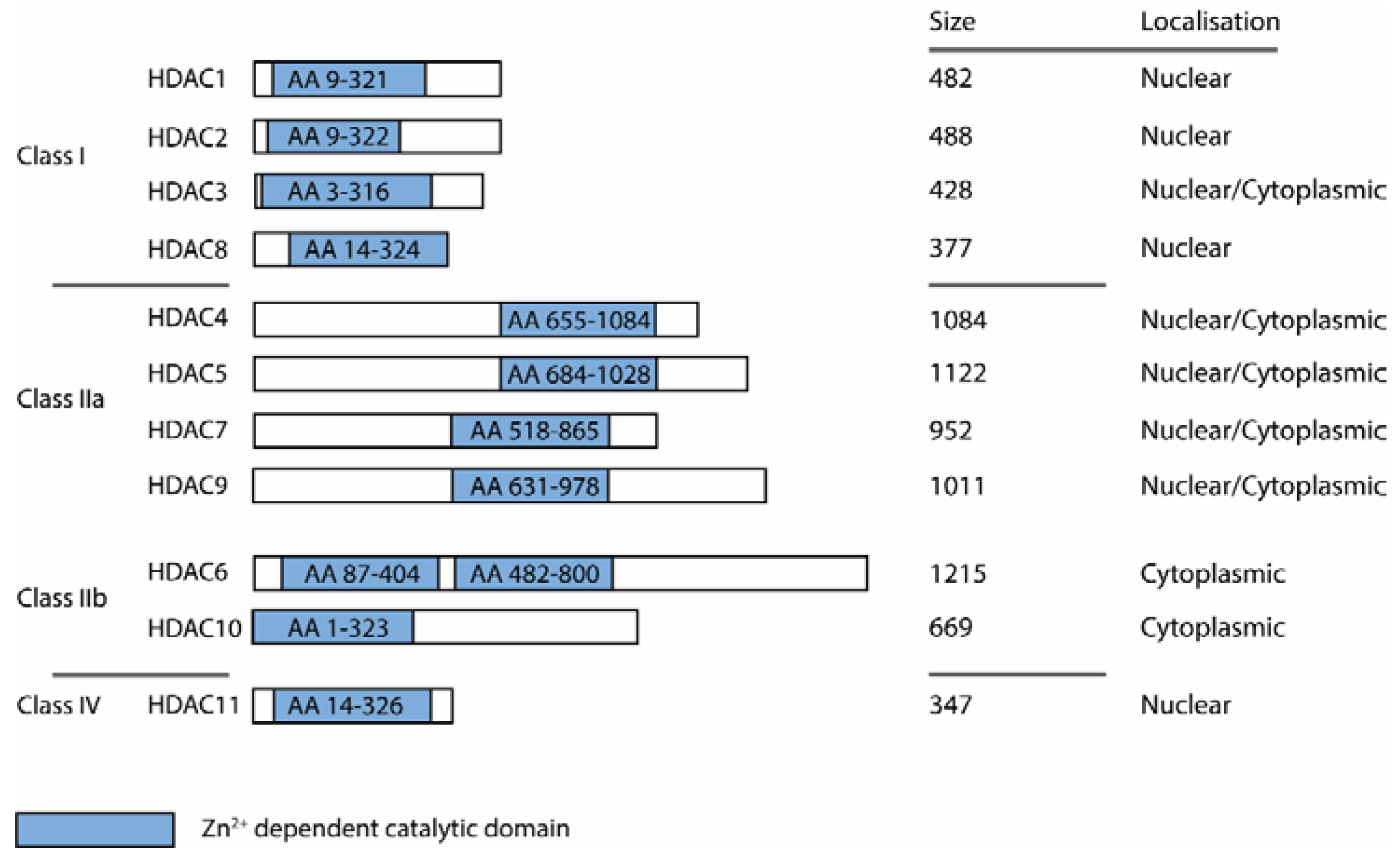Molecules 28 05686 g001