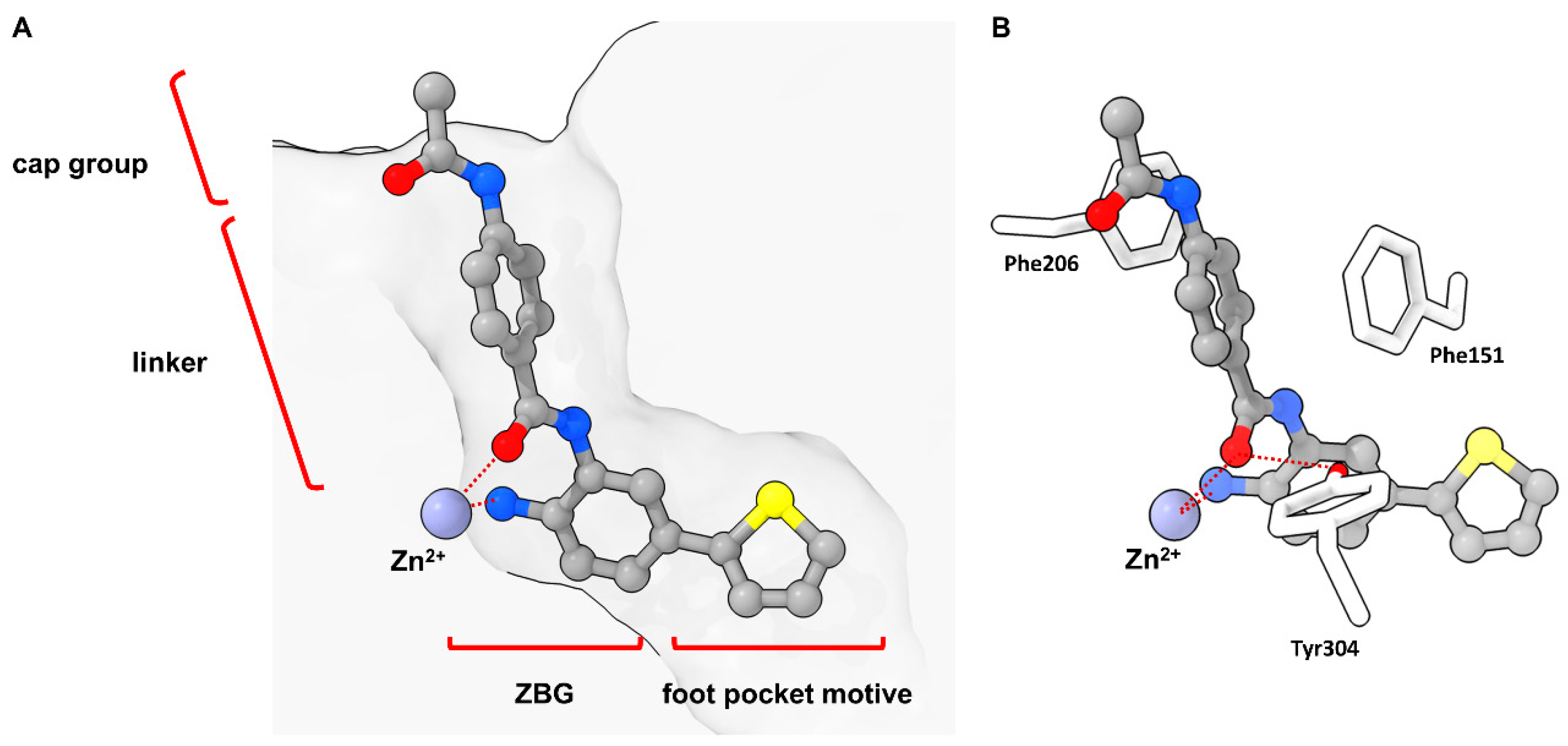 Molecules 28 05686 g003