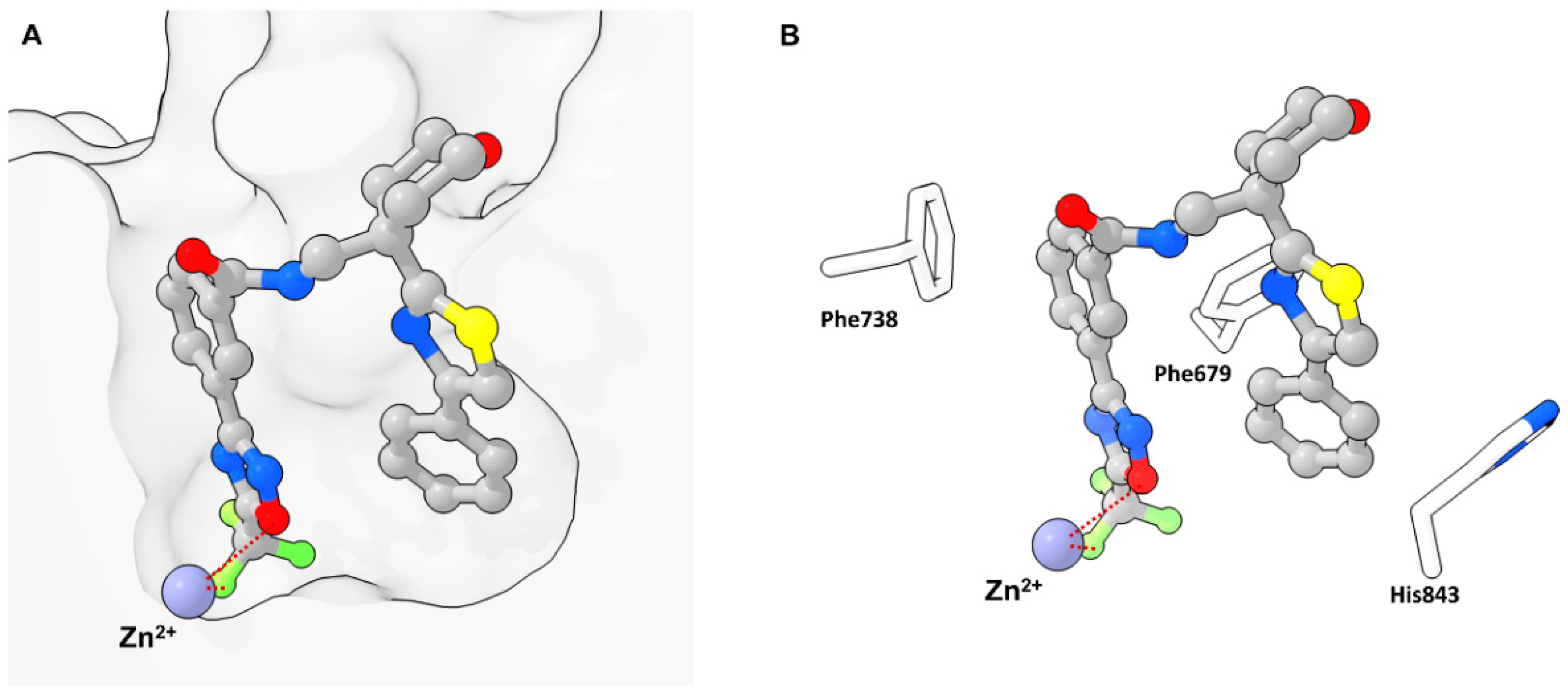 Molecules 28 05686 g006