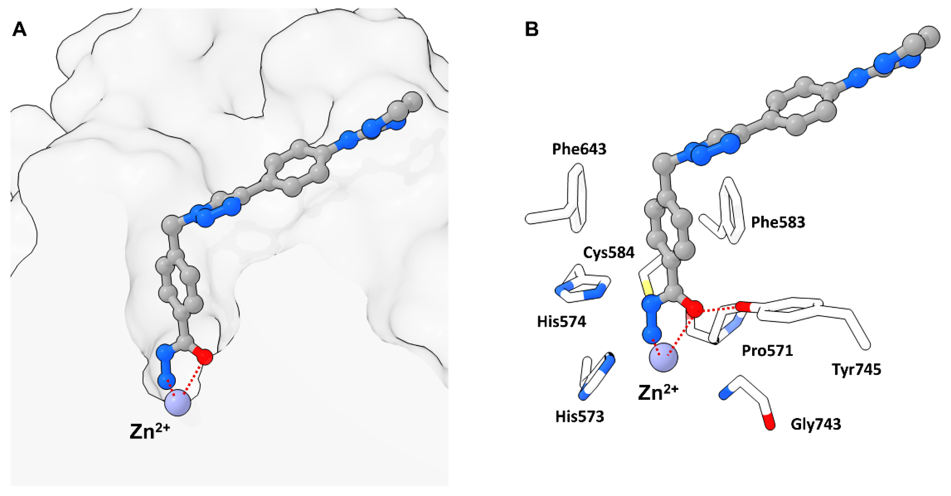 Molecules 28 05686 g010